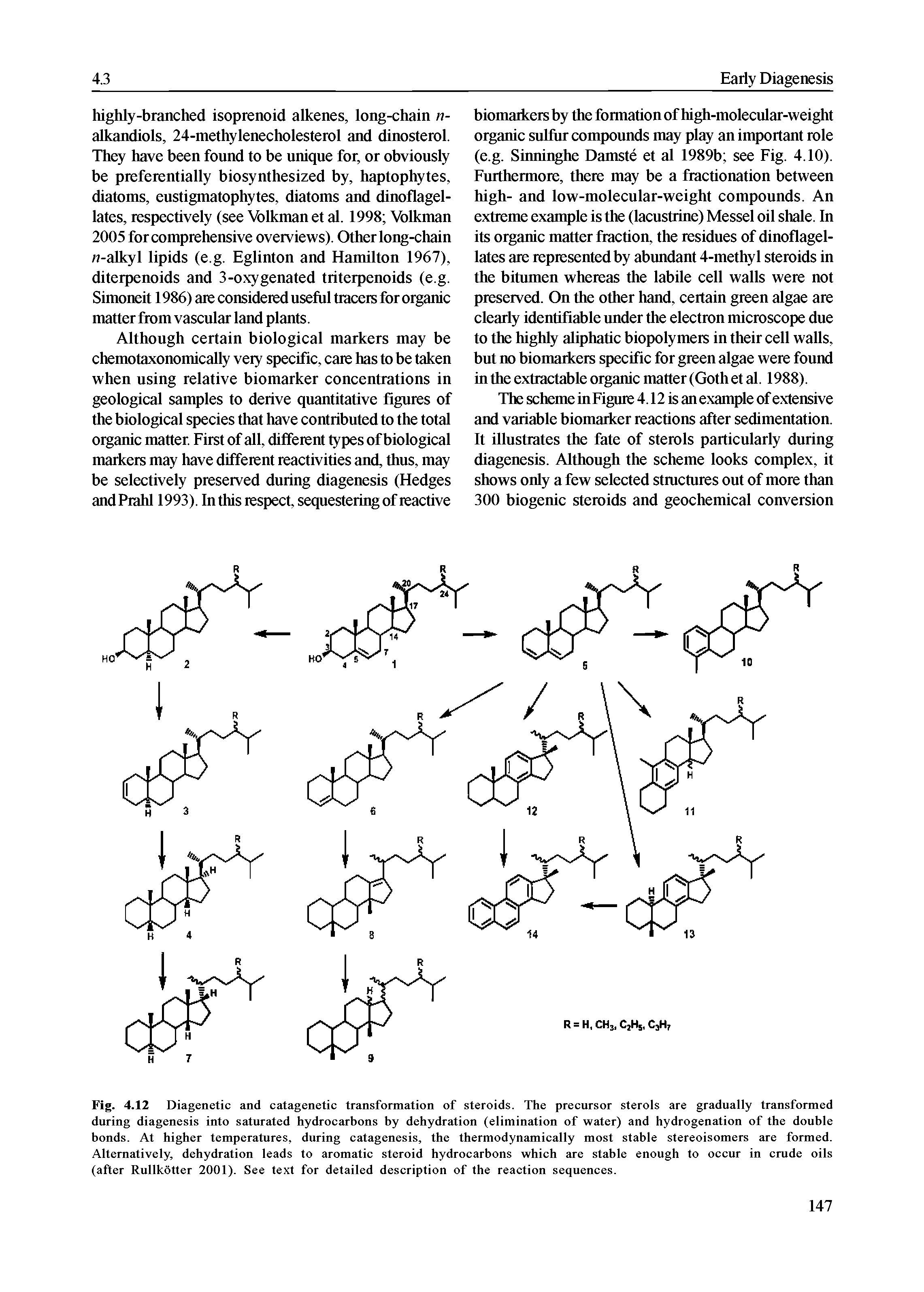 Fig. 4.12 Diagenetic and catagenetic transformation of steroids. The precursor sterols are gradually transformed during diagenesis into saturated hydrocarbons by dehydration (elimination of water) and hydrogenation of the double bonds. At higher temperatures, during catagenesis, the thermodynamically most stable stereoisomers are formed. Alternatively, dehydration leads to aromatic steroid hydrocarbons which are stable enough to occur in crude oils (after Rullkotter 2001). See text for detailed description of the reaction sequences.