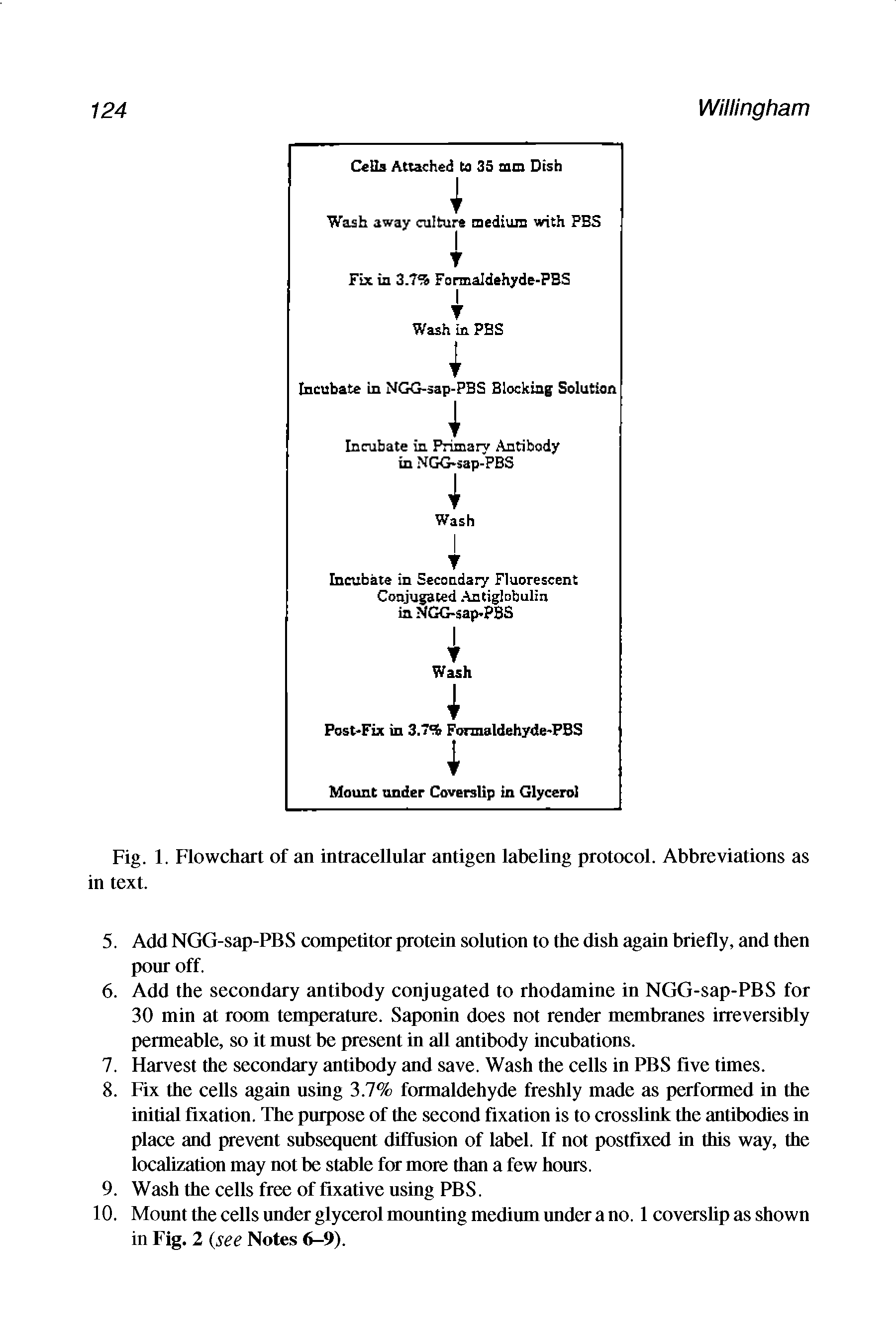 Fig. 1. Flowchart of an intracellular antigen labeling protocol. Abbreviations as in text.