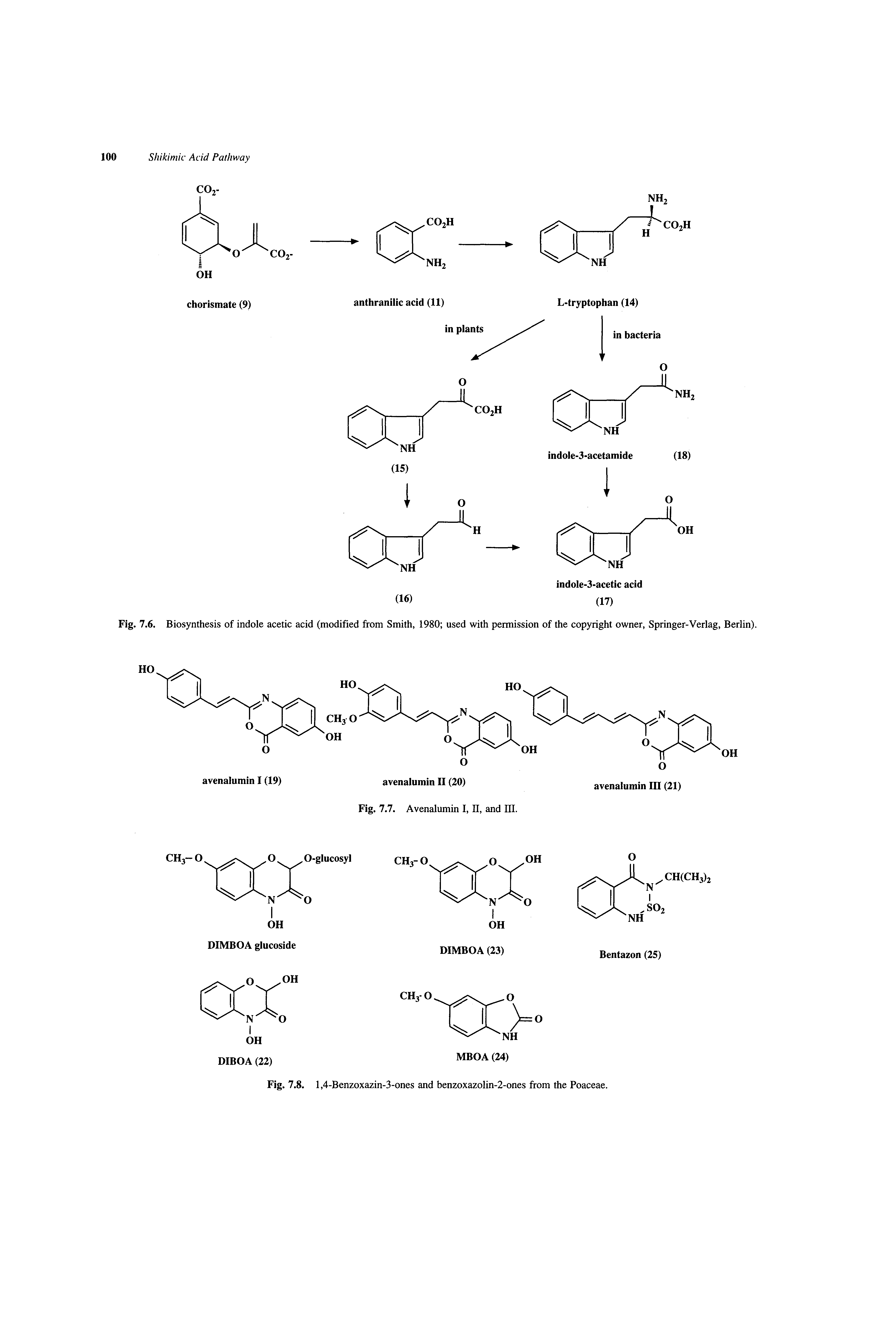 Fig. 7.6. Biosynthesis of indole acetic acid (modified from Smith, 1980 used with permission of the copyright owner, Springer-Verlag, Berlin).