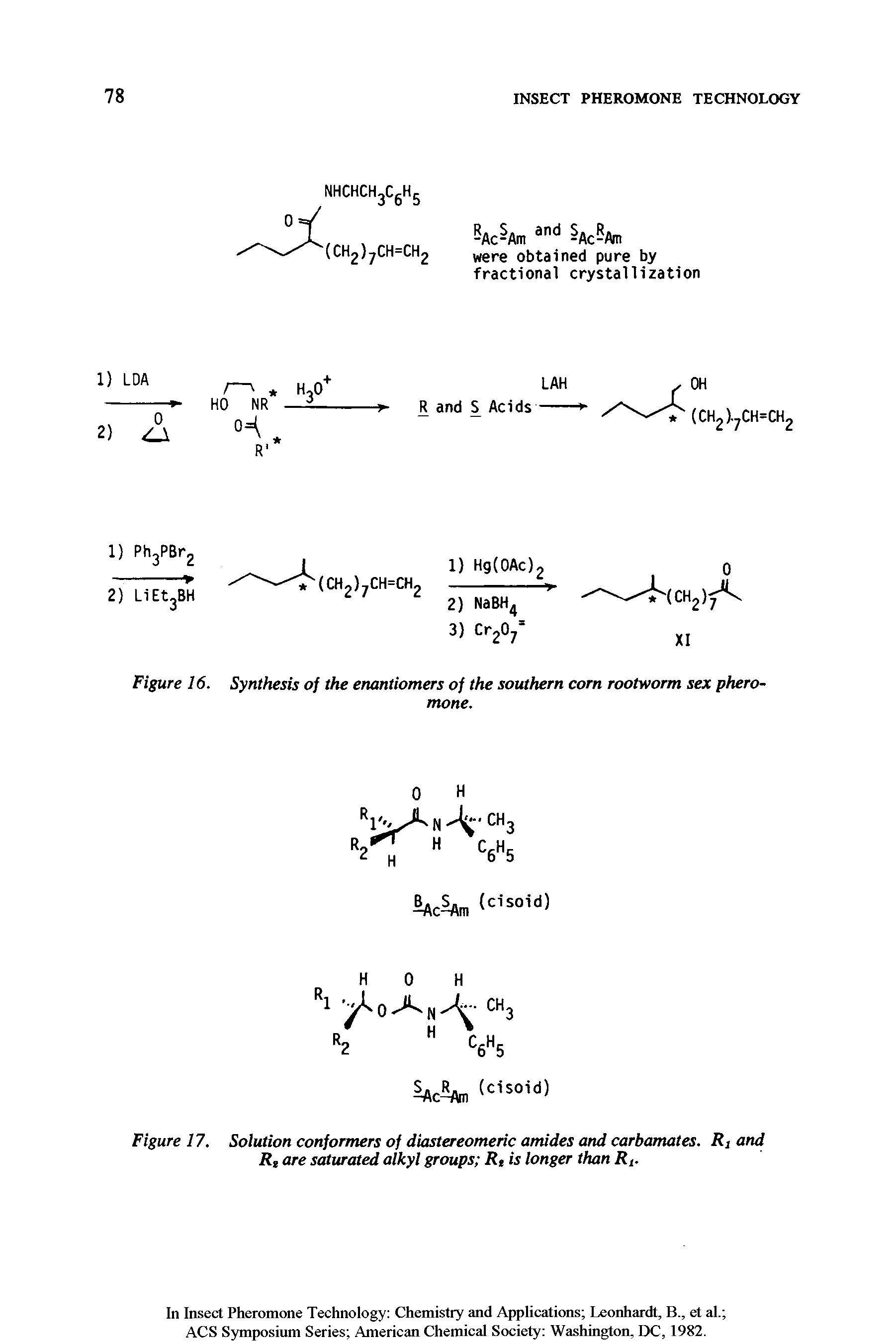 Figure 17. Solution conformers of diastereomeric amides and carbamates. Rj and Rt are saturated alkyl groups Rt is longer than R,.