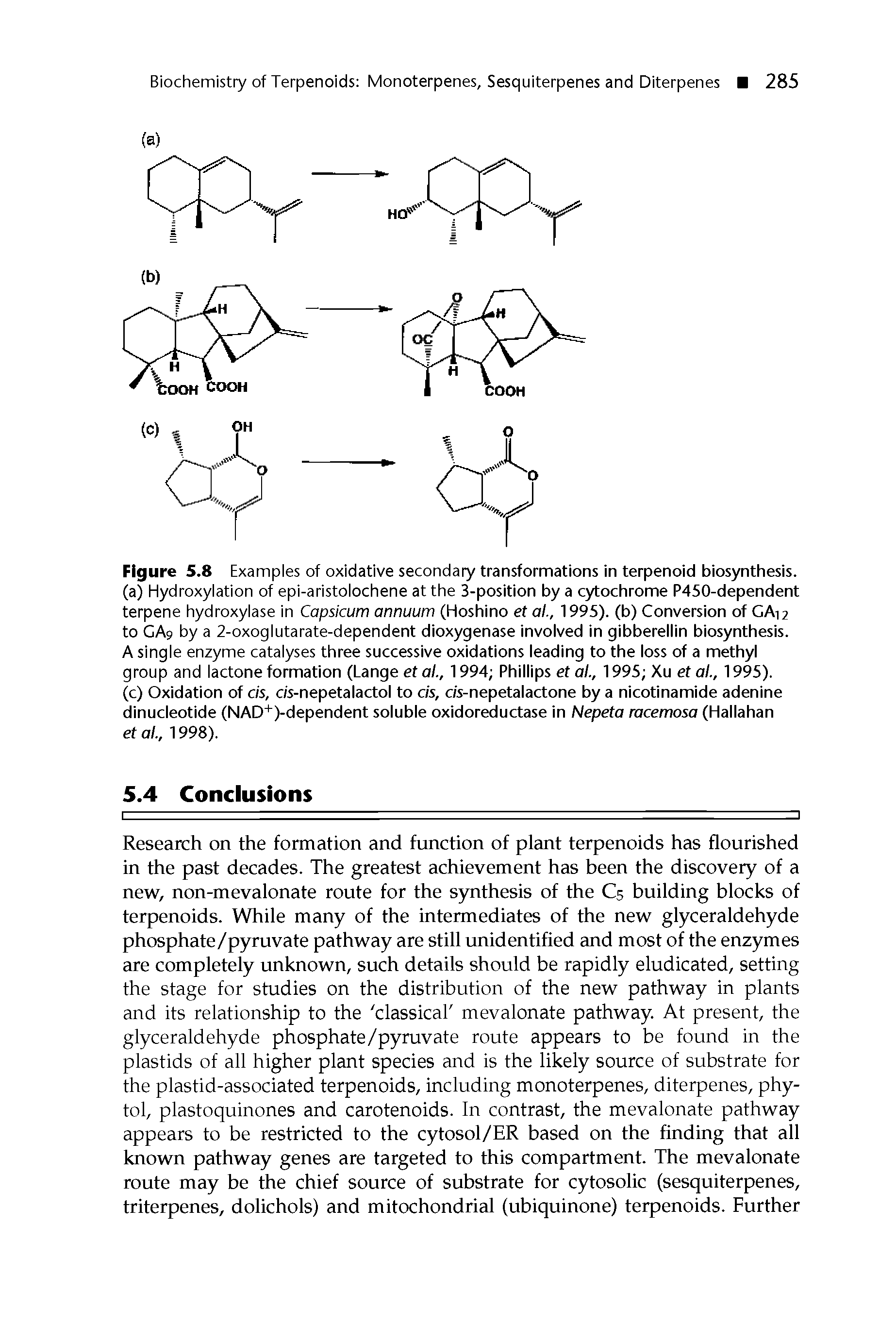 Figure 5.8 Examples of oxidative secondary transformations in terpenoid biosynthesis, (a) Hydroxylation of epi-aristolochene at the 3-position by a cytochrome P450-dependent terpene hydroxylase in Capsicum annuum (Hoshino et ai, 1995). (b) Conversion of GA12 to CA9 by a 2-oxoglutarate-dependent dioxygenase involved in gibberellin biosynthesis.