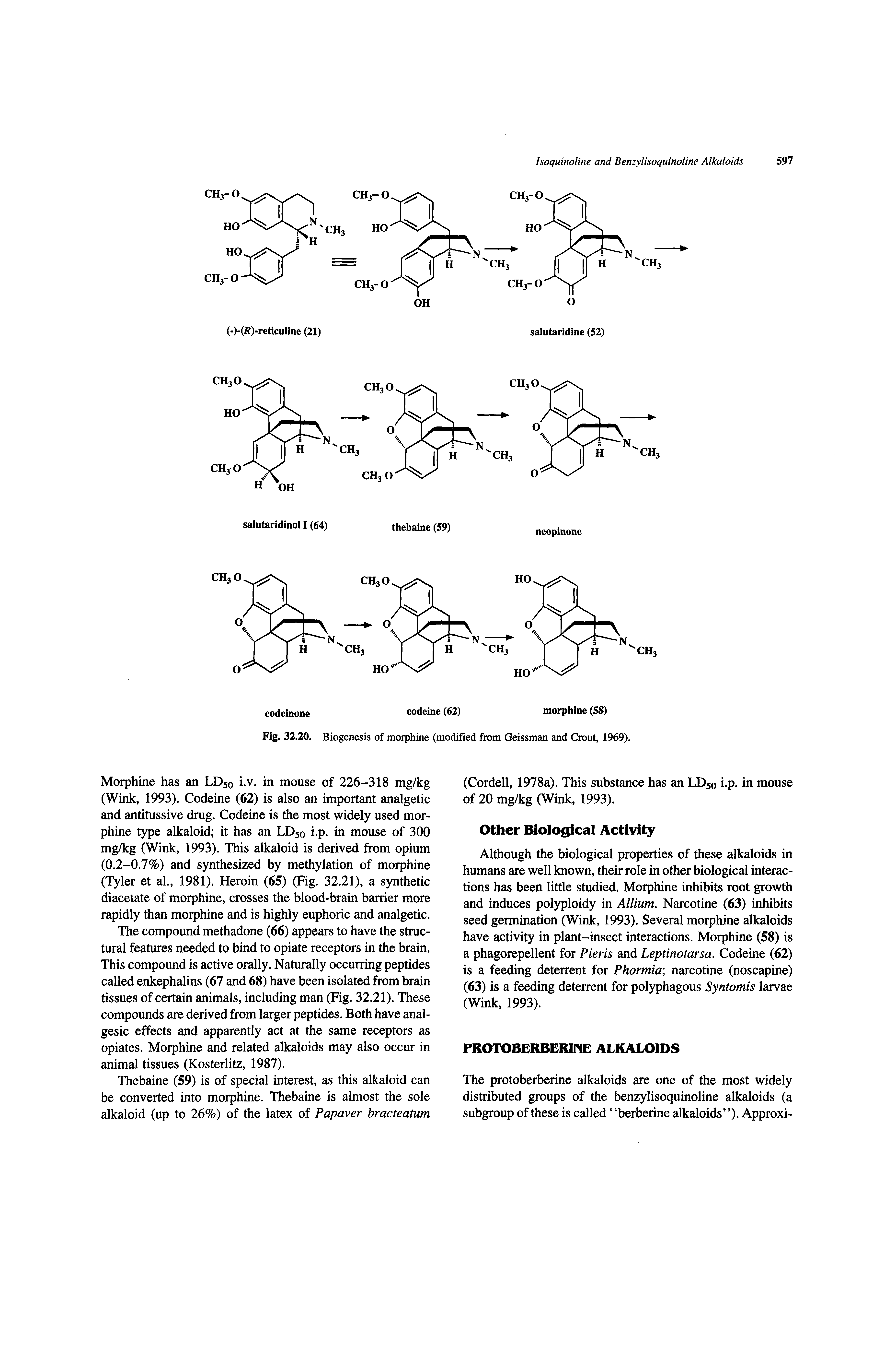 Fig. 32.20. Biogenesis of morphine (modified from Geissman and Grout, 1969).