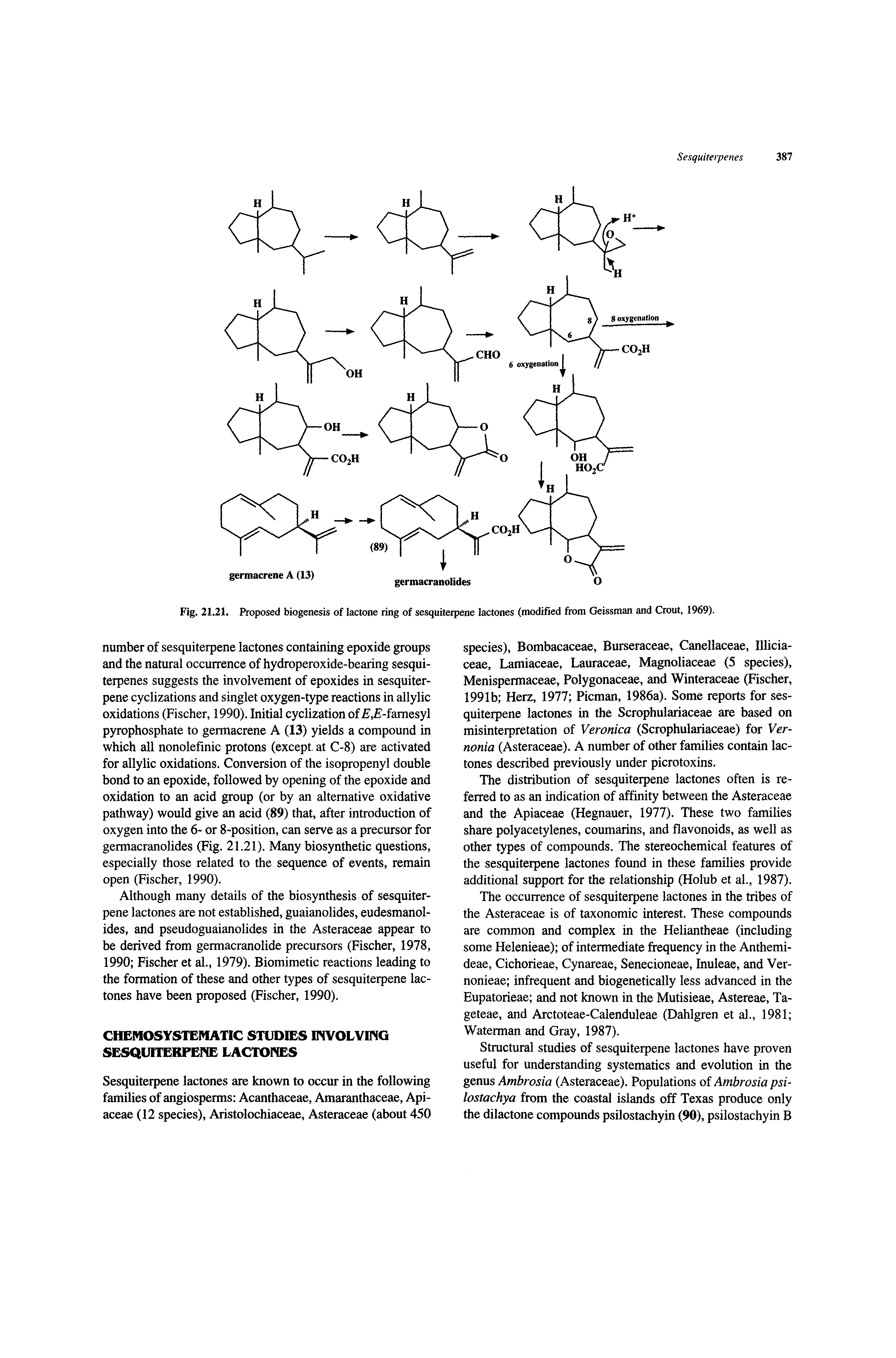 Fig. 21.21. Proposed biogenesis of lactone ring of sesquiterpene lactones (modified from Geissman and Grout, 1969).