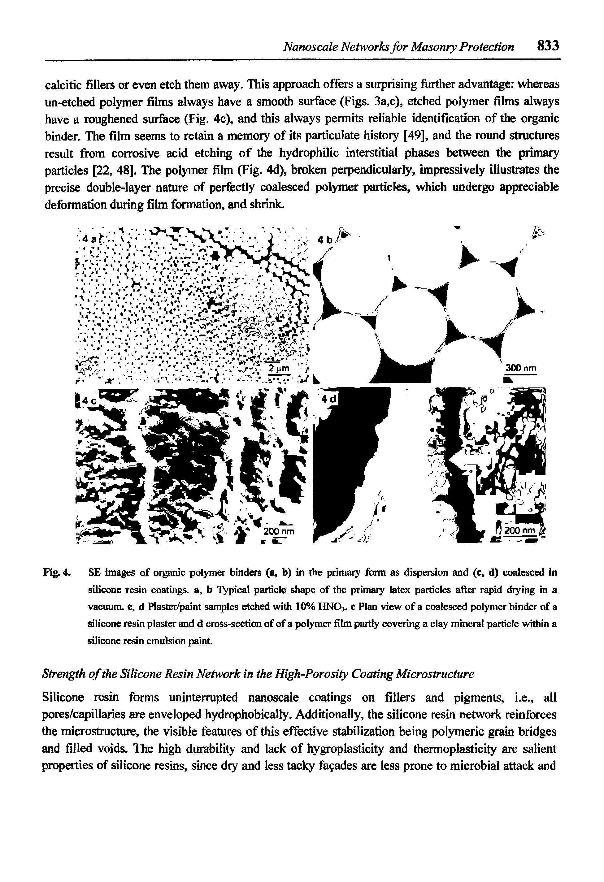 Fig. 4. SE images of organic polymer binders (a, b) in the primaiy form as dispersion and (c, d) coalesced in silicone resin coatings, a, b Typical particle shape of the primaiy latex particles after rapid diying in a vacuum, c, d Plaster/paint samples etched with 10% HNO3. c Plan view of a coalesced polymer binder of a silicone resin plaster and d cross-section of of a polymer film partly covering a clay mineral particle within a silicone resin emulsion paint.