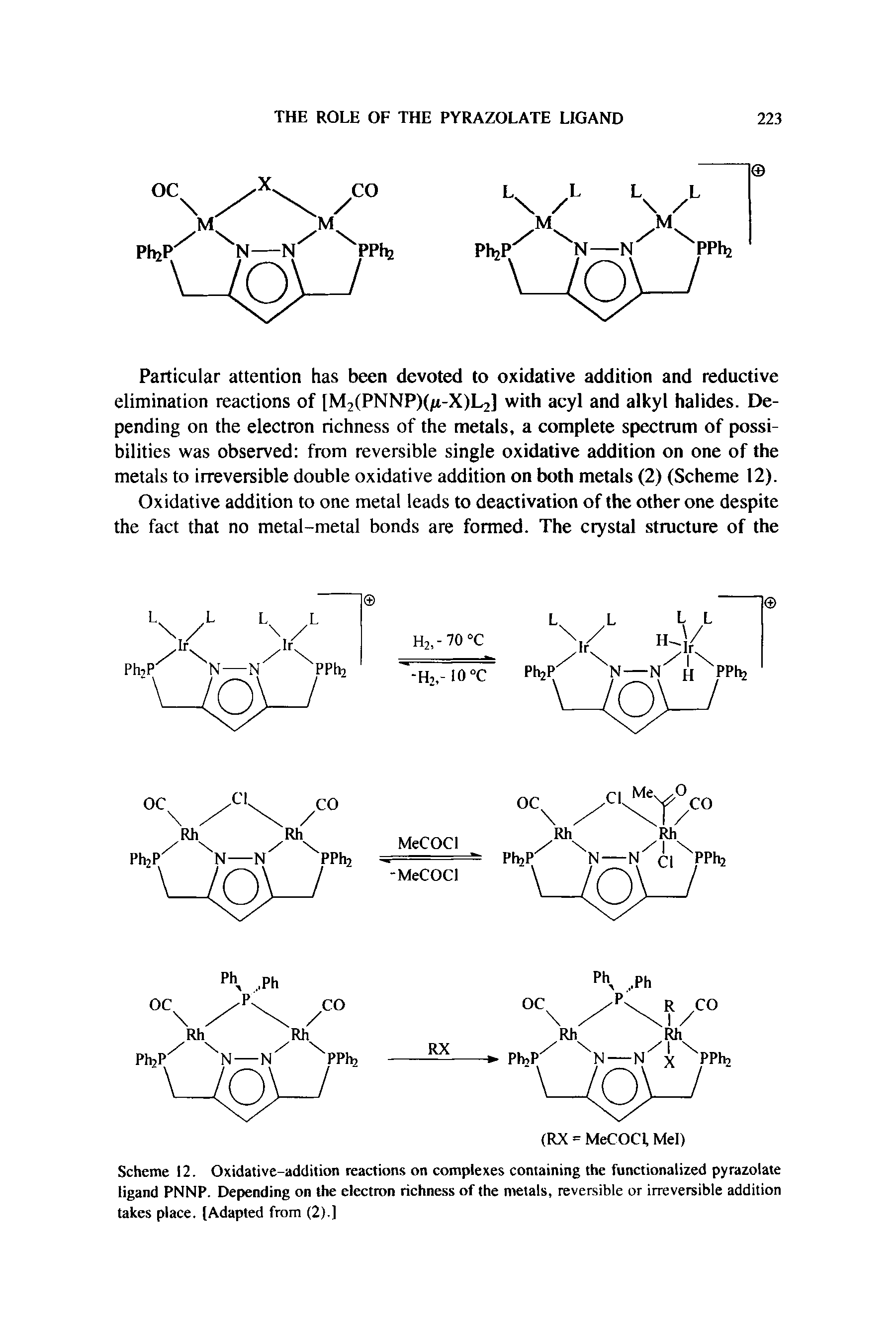 Scheme 12. Oxidative-addition reactions on complexes containing the functionalized pyrazolate ligand PNNP. Depending on the electron richness of the metals, reversible or irreversible addition takes place. (Adapted from (2).]...