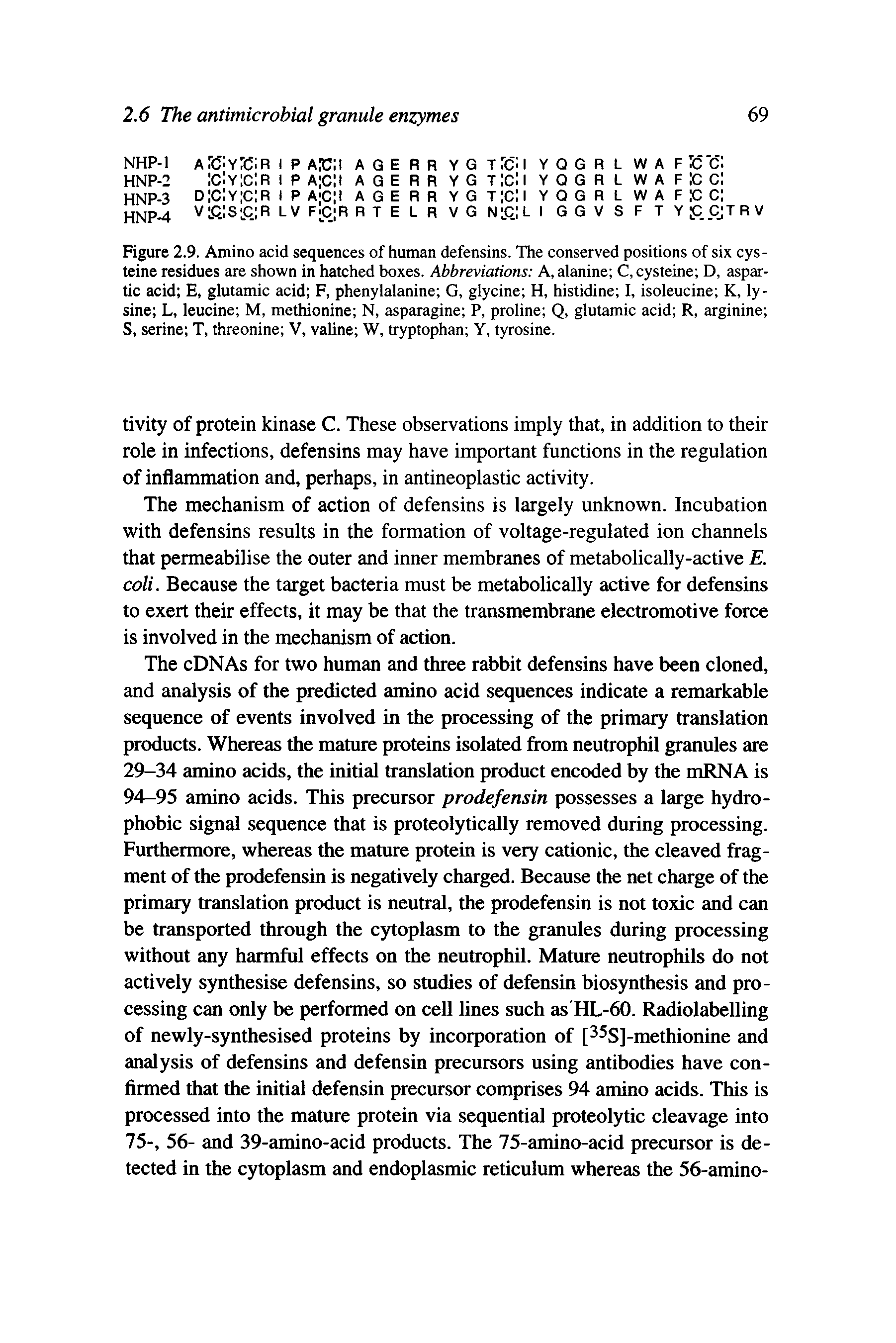 Figure 2.9. Amino acid sequences of human defensins. The conserved positions of six cysteine residues are shown in hatched boxes. Abbreviations A, alanine C, cysteine D, aspartic acid E, glutamic acid F, phenylalanine G, glycine H, histidine I, isoleucine K, lysine L, leucine M, methionine N, asparagine P, proline Q, glutamic acid R, arginine S, serine T, threonine V, valine W, tryptophan Y, tyrosine.