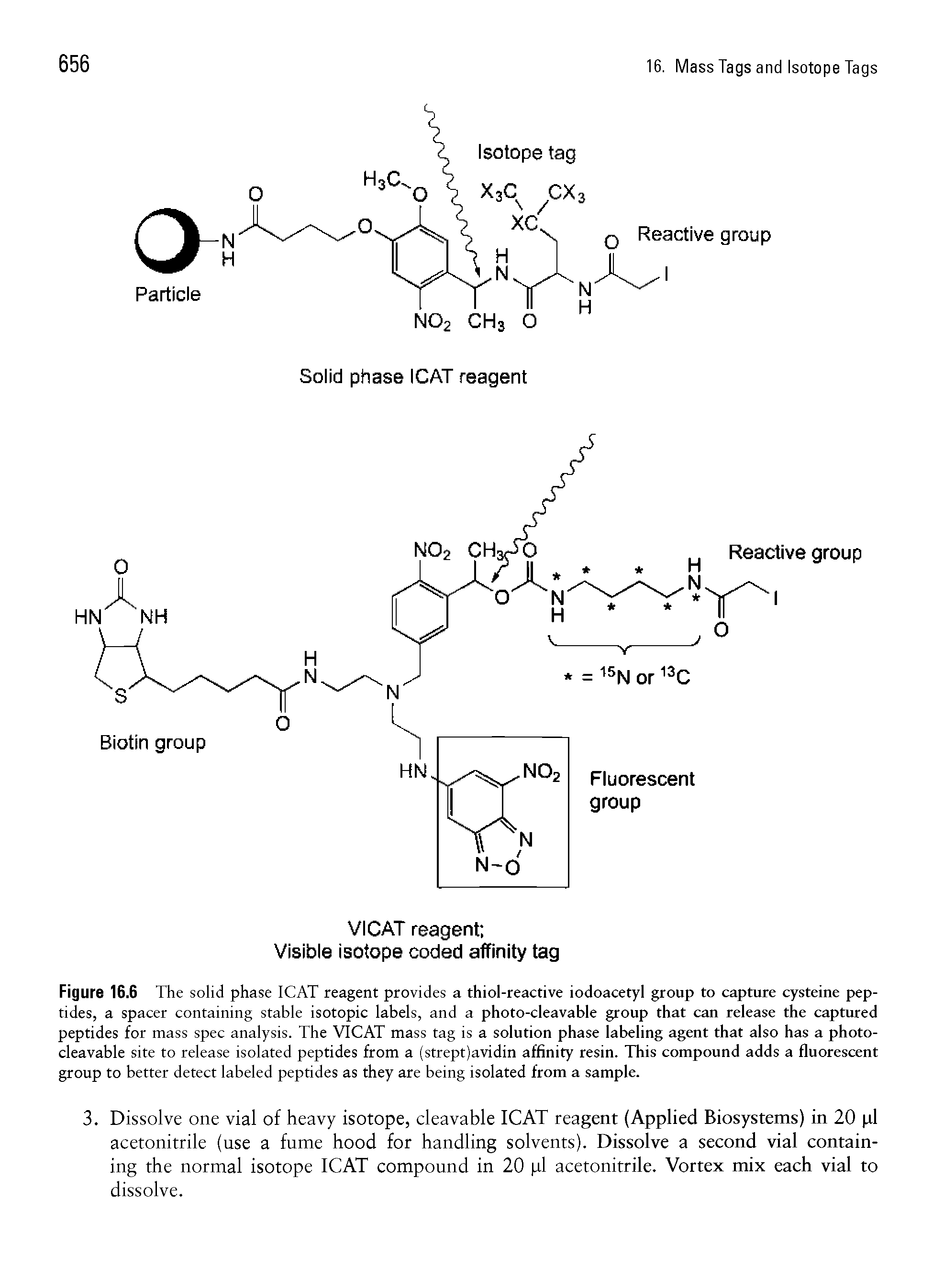 Figure 16.6 The solid phase ICAT reagent provides a thiol-reactive iodoacetyl group to capture cysteine peptides, a spacer containing stable isotopic labels, and a photo-cleavable group that can release the captured peptides for mass spec analysis. The VICAT mass tag is a solution phase labeling agent that also has a photo-cleavable site to release isolated peptides from a (strept)avidin affinity resin. This compound adds a fluorescent group to better detect labeled peptides as they are being isolated from a sample.