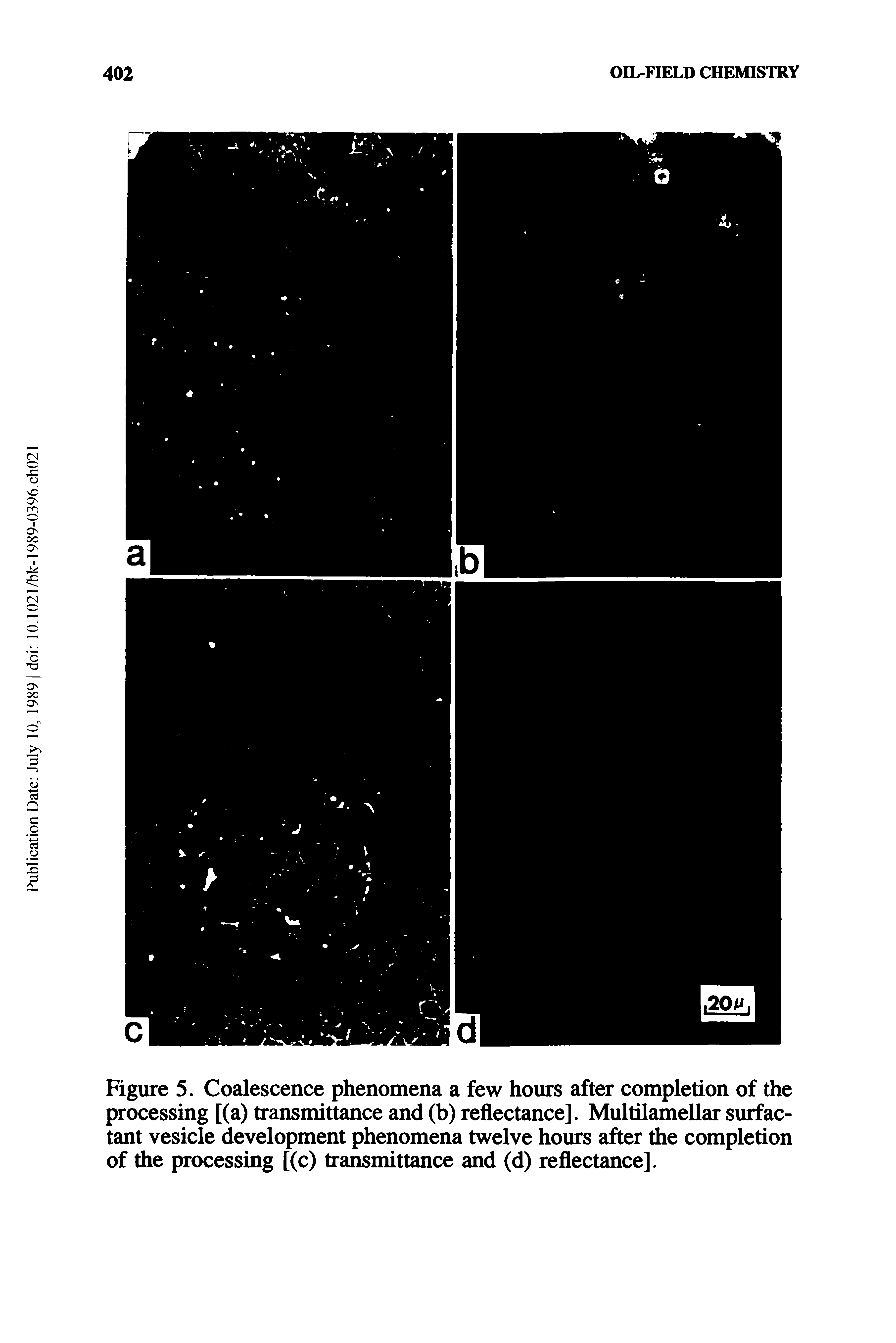 Figure 5. Coalescence phenomena a few hours after completion of the processing [(a) transmittance and (b) reflectance]. Multilamellar surfactant vesicle development phenomena twelve hours after the completion of the processing [(c) transmittance and (d) reflectance].