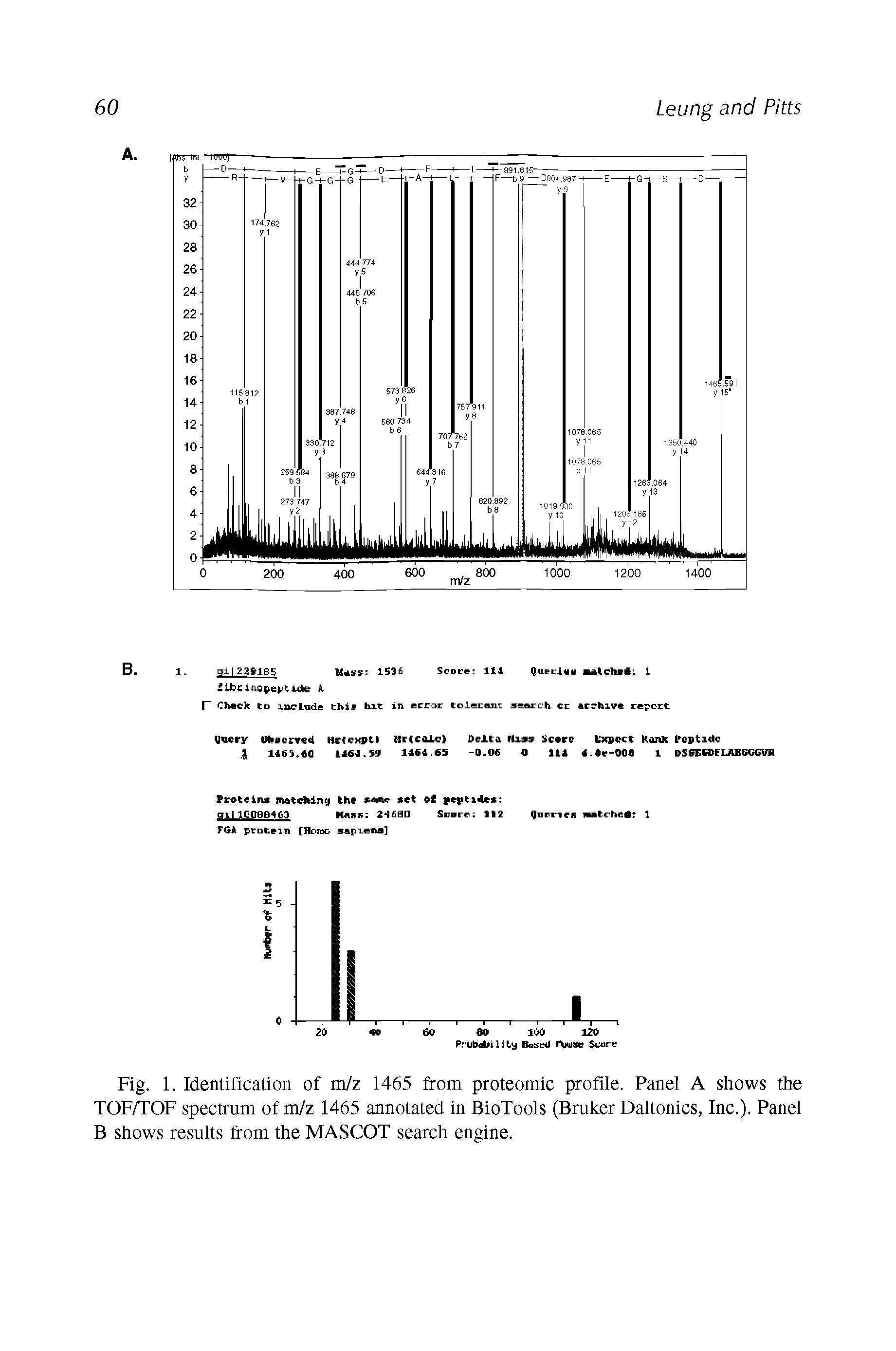 Fig. 1. Identification of m/z 1465 from proteomic profile. Panel A shows the TOF/TOF spectrum of m/z 1465 annotated in BioTools (Bruker Daltonics, Inc.). Panel B shows results from the MASCOT search engine.