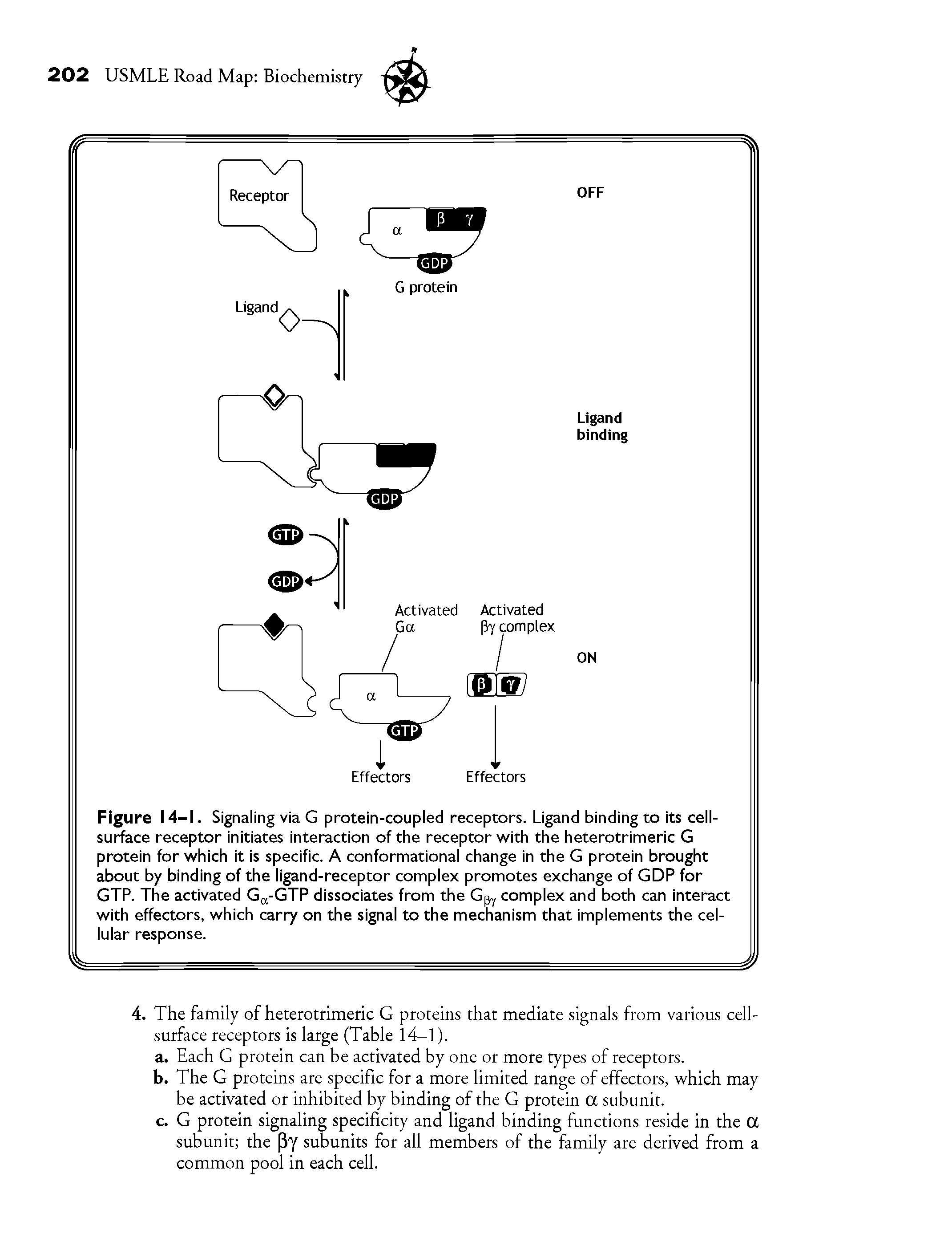 Figure 14-1. Signaling via G protein-coupled receptors. Ligand binding to its cell-surface receptor initiates interaction of the receptor with the heterotrimeric G protein for which it is specific. A conformational change in the G protein brought about by binding of the ligand-receptor complex promotes exchange of GDP for GTP. The activated Gd-GTP dissociates from the Gp complex and both can interact with effectors, which carry on the signal to the mechanism that implements the cellular response.