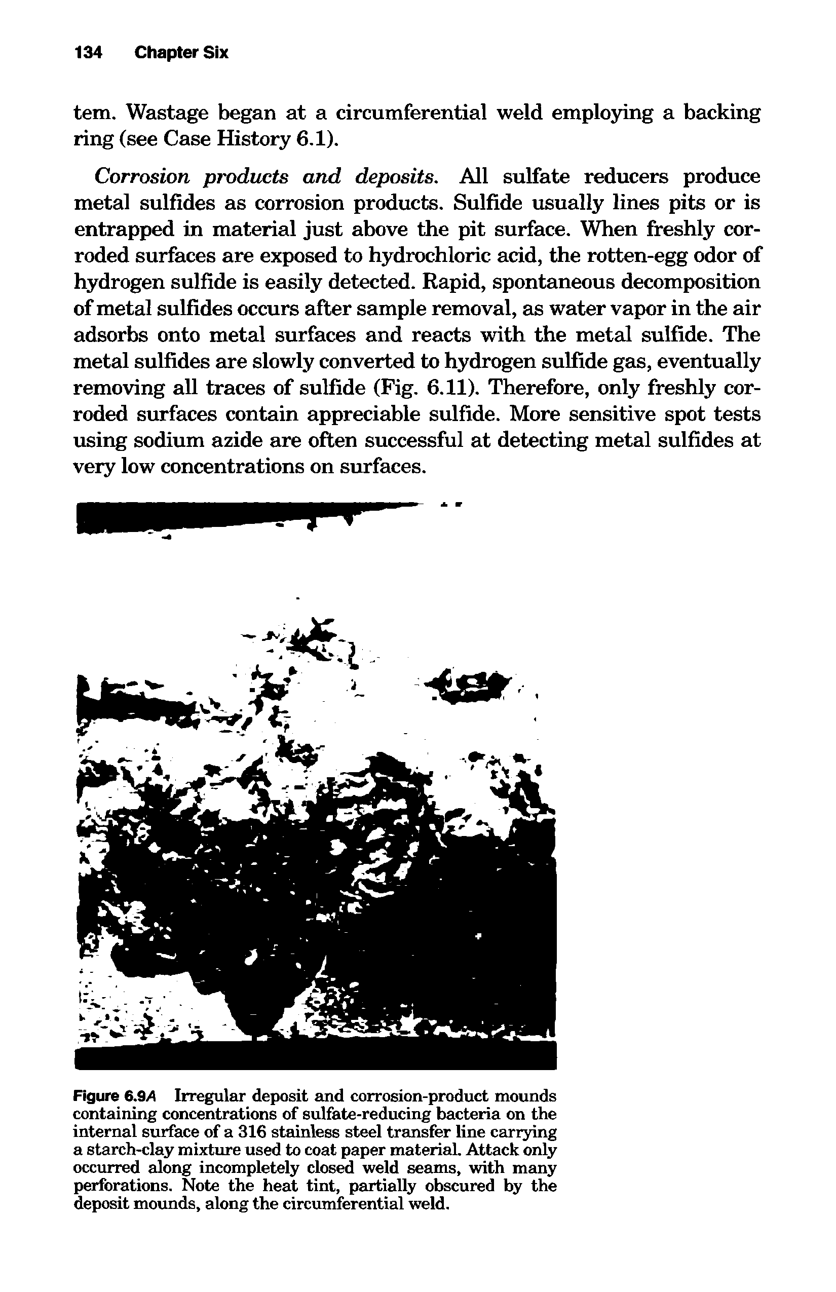 Figure 6.9 Irregular deposit and corrosion-product mounds containing concentrations of sulfate-reducing bacteria on the internal surface of a 316 stainless steel transfer line carrying a starch-clay mixture used to coat paper material. Attack only occurred along incompletely closed weld seams, with many perforations. Note the heat tint, partially obscured by the deposit mounds, along the circumferential weld.