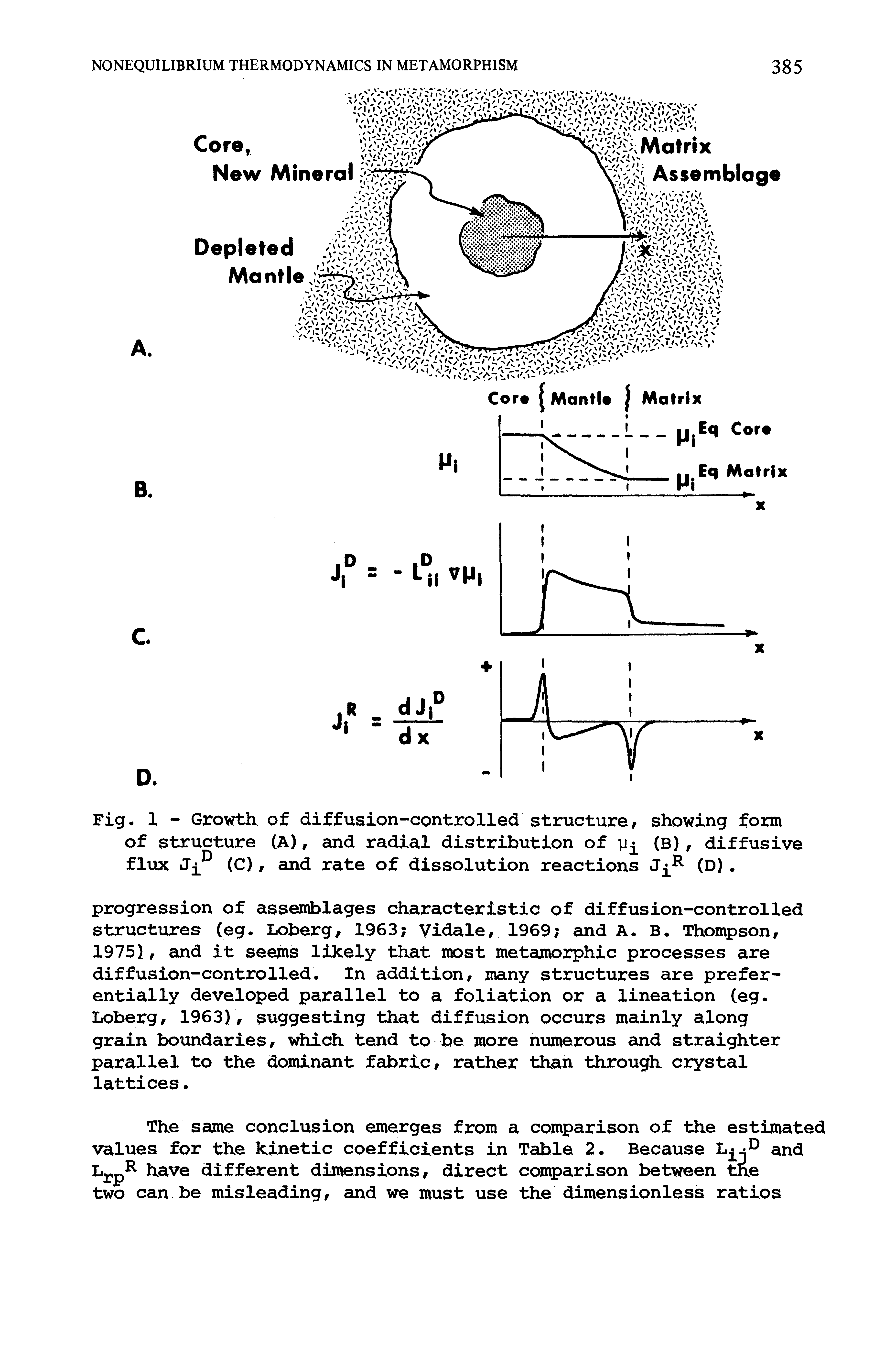 Fig. X - Growth, of diffusion-controlled structure, showing form of structure (A), and radia.1 distribution of (B), diffusive flux (C), and rate of dissolution reactions (D).