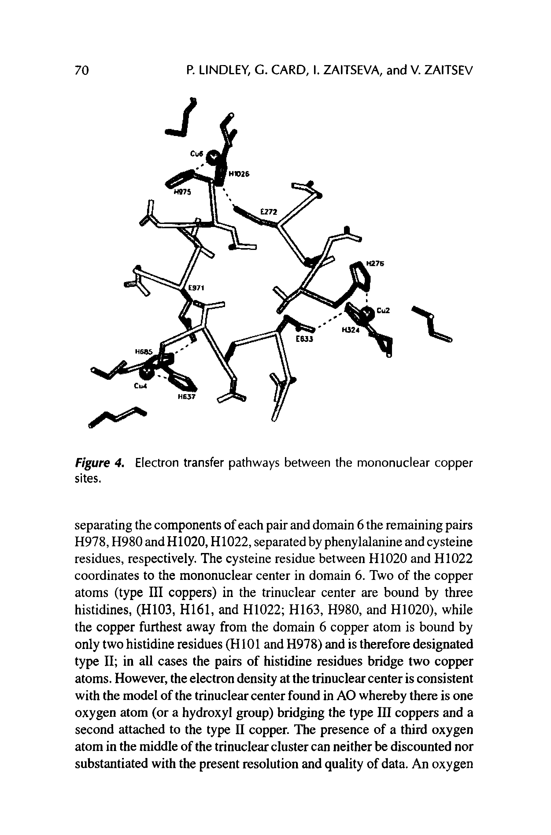 Figure 4. Electron transfer pathways between the mononuclear copper sites.