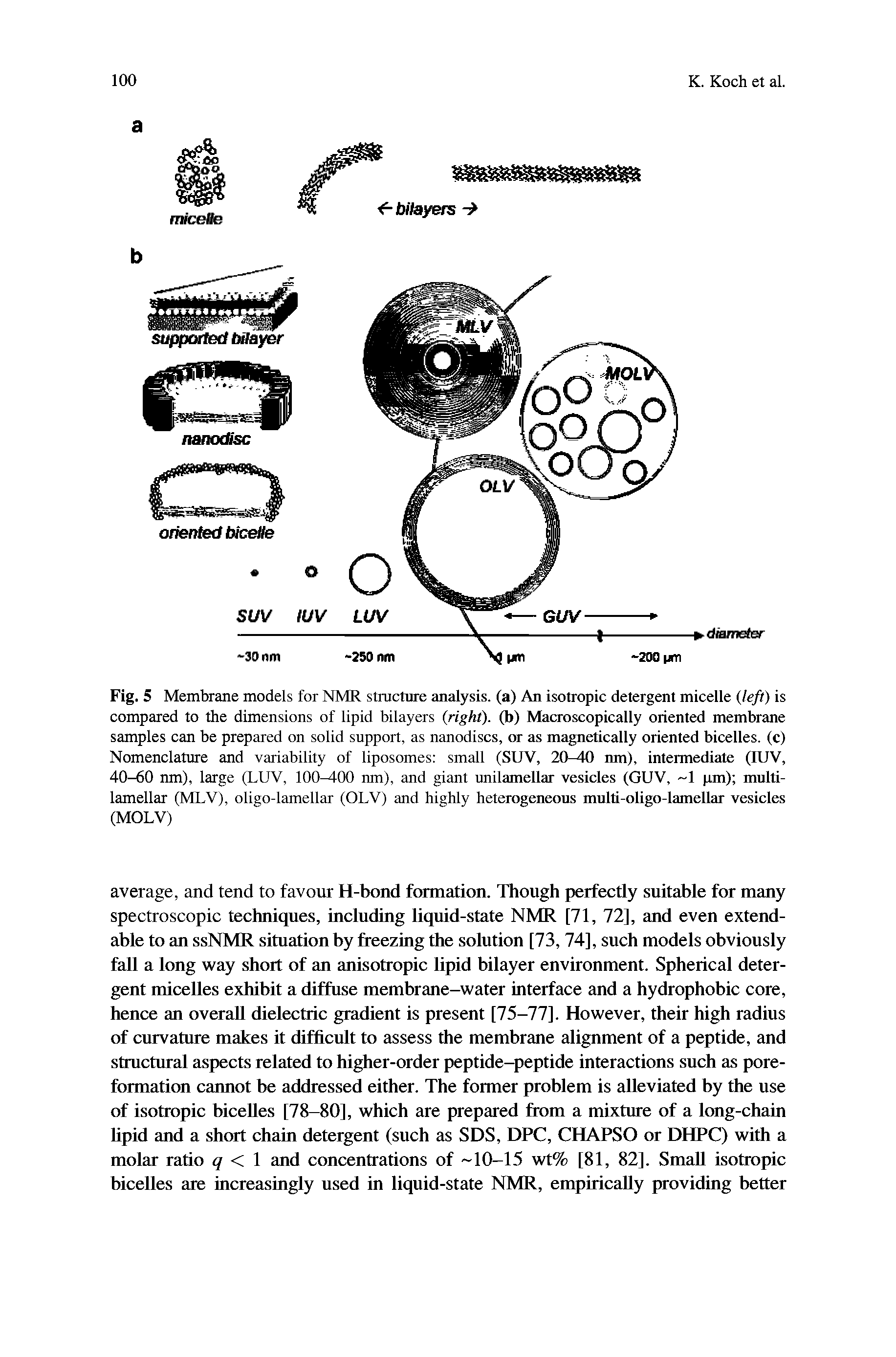 Fig. 5 Membrane models for NMR structure analysis, (a) An isotropic detergent micelle (left) is compared to the dimensions of lipid bilayers (right), (b) Macroscopically oriented membrane samples can be prepared on solid support, as nanodiscs, or as magnetically oriented bicelles. (c) Nomenclature and variability of liposomes small (SUV, 20-40 nm), intermediate (IUV, 40-60 nm), large (LUV, 100-400 nm), and giant unilamellar vesicles (GUV, 1 pm) multi-lamellar (MLV), oligo-lamellar (OLV) and highly heterogeneous multi-oligo-lamellar vesicles (MOLV)...