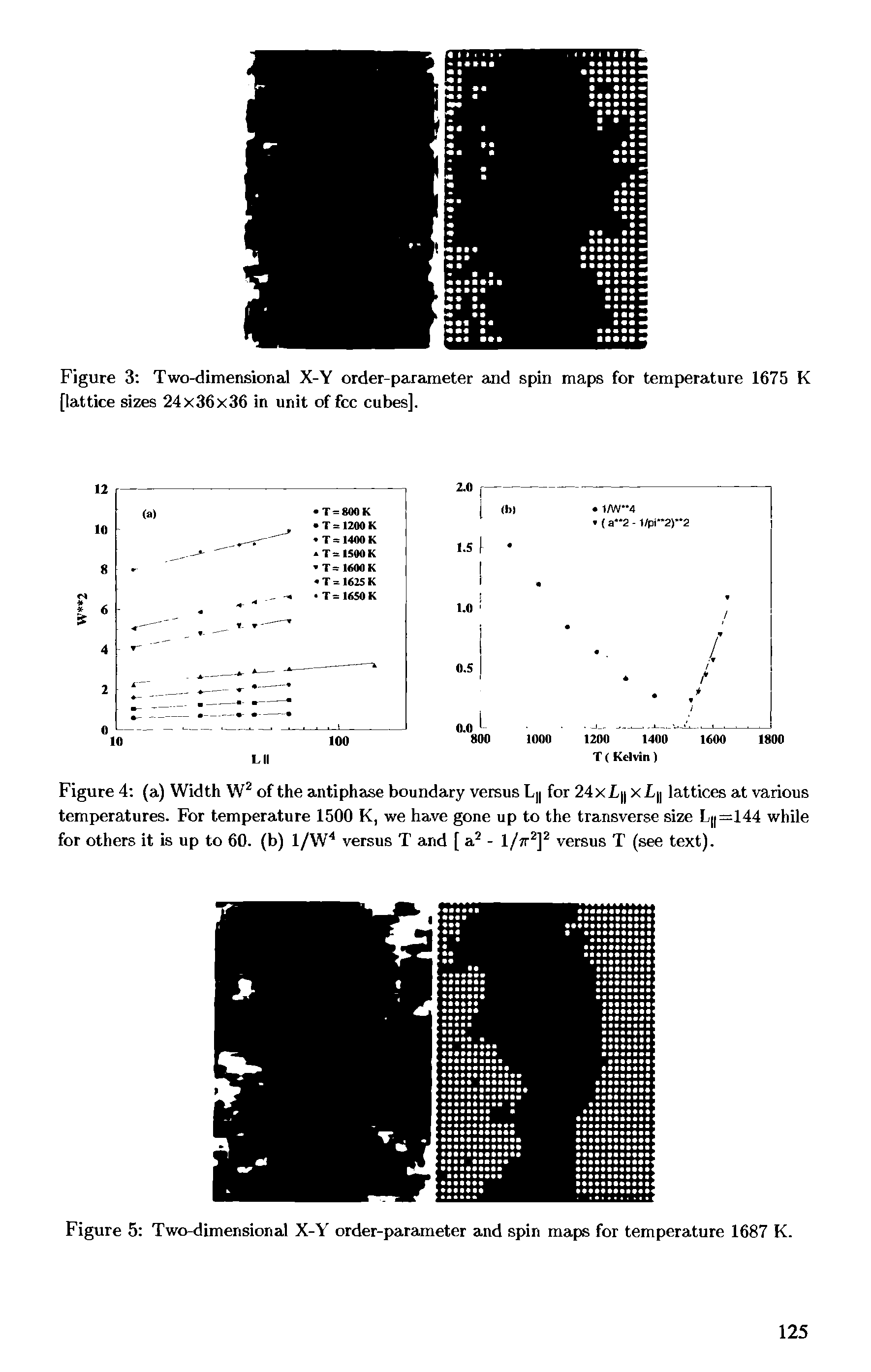 Figure 3 Two-dimensional X-Y order-parameter and spin maps for temperature 1675 K [lattice sizes 24x36x36 in unit of fee cubes].
