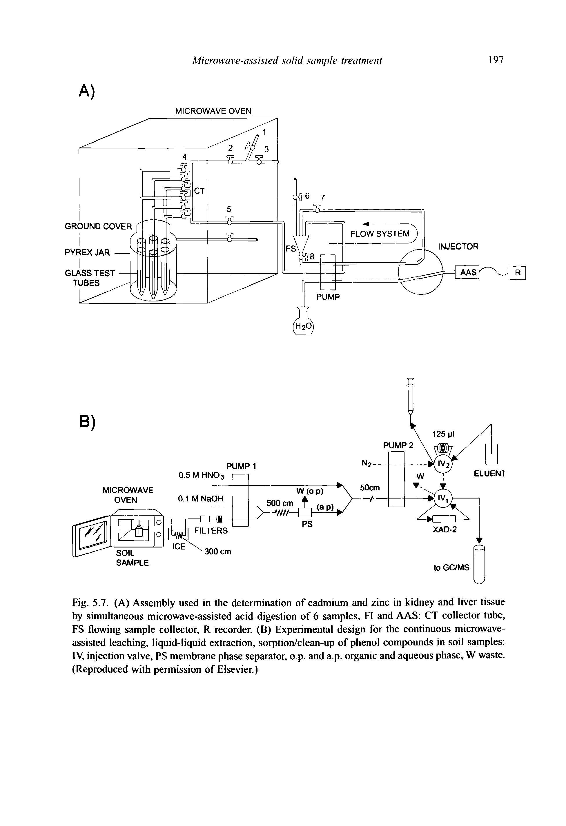 Fig. 5.7. (A) Assembly used in the determination of cadmium and zinc in kidney and liver tissue by simultaneous microwave-assisted acid digestion of 6 samples, FI and AAS CT collector tube, FS flowing sample collector, R recorder. (B) Experimental design for the continuous microwave-assisted leaching, liquid-liquid extraction, sorption/clean-up of phenol compounds in soil samples IV, injection valve, PS membrane phase separator, o.p. and a.p. organic and aqueous phase, W waste. (Reproduced with permission of Elsevier.)...