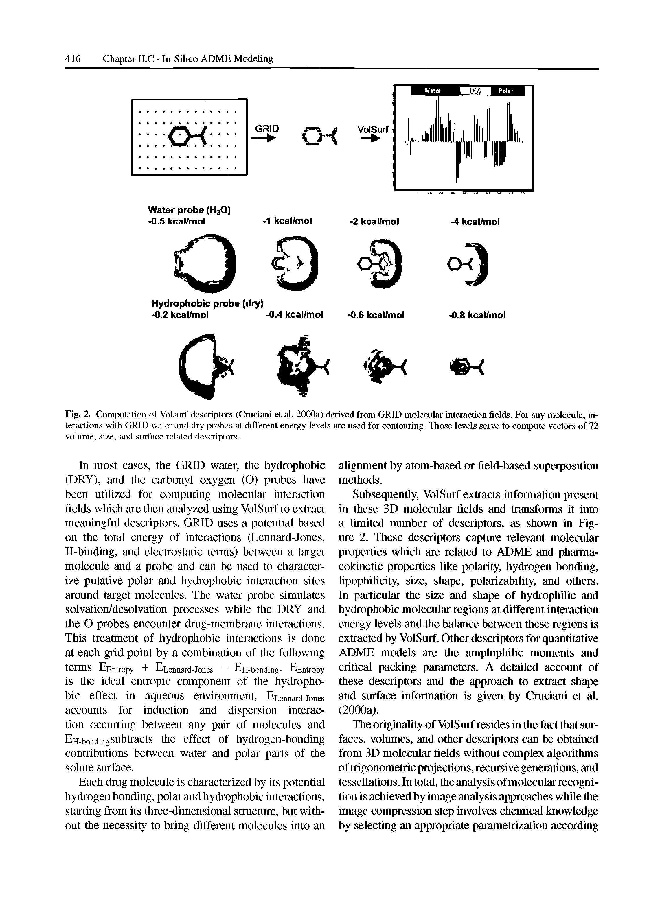 Fig. 2. Computation of Volsurf descriptors (Cruciani et al. 2000a) derived from GRID molecular interaction fields. For any molecule, interactions with GRID water and dry probes at different energy levels are used for contouring. Those levels serve to compute vectors of 72 volume, size, and surface related descriptors.