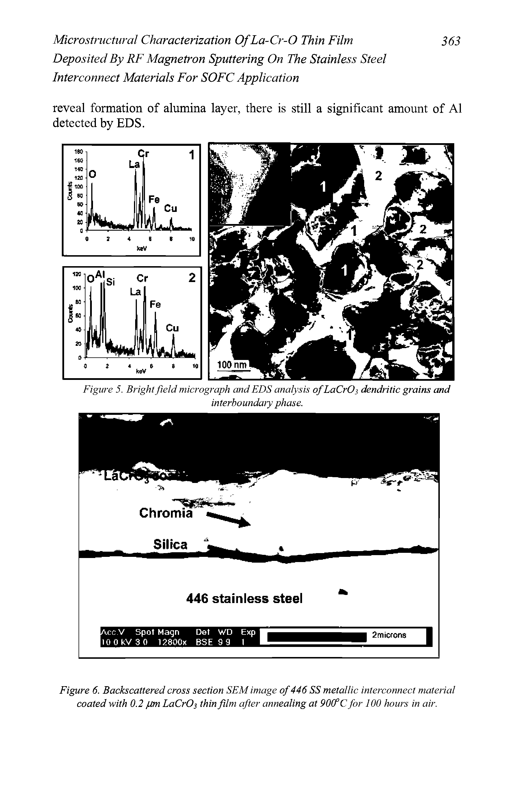 Figure 6. Backscattered cross section SEM image of446 SS metallic interconnect material coated with 0.2 pm LaCrOs thin film after annealing at 90(f C for 100 hours in air.