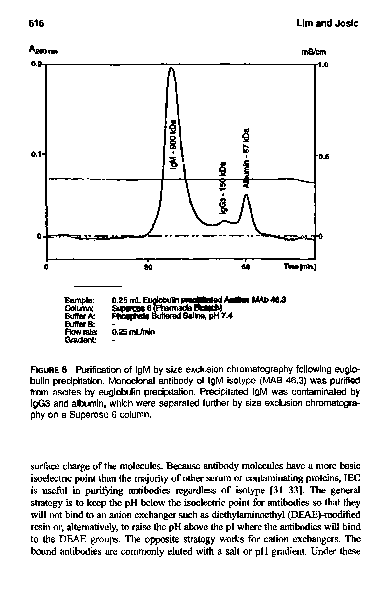 Figure 6 Purification of IgM by size exciusion chromatography foliowing euglobulin precipitation. Monoclonal antibody of IgM isotype (MAB 46.3) was purified from ascites by euglobulin precipitation. Precipitated IgM was contaminated by lgG3 and albumin, which were separated further by size exclusion chromatography on a Superose-6 column.