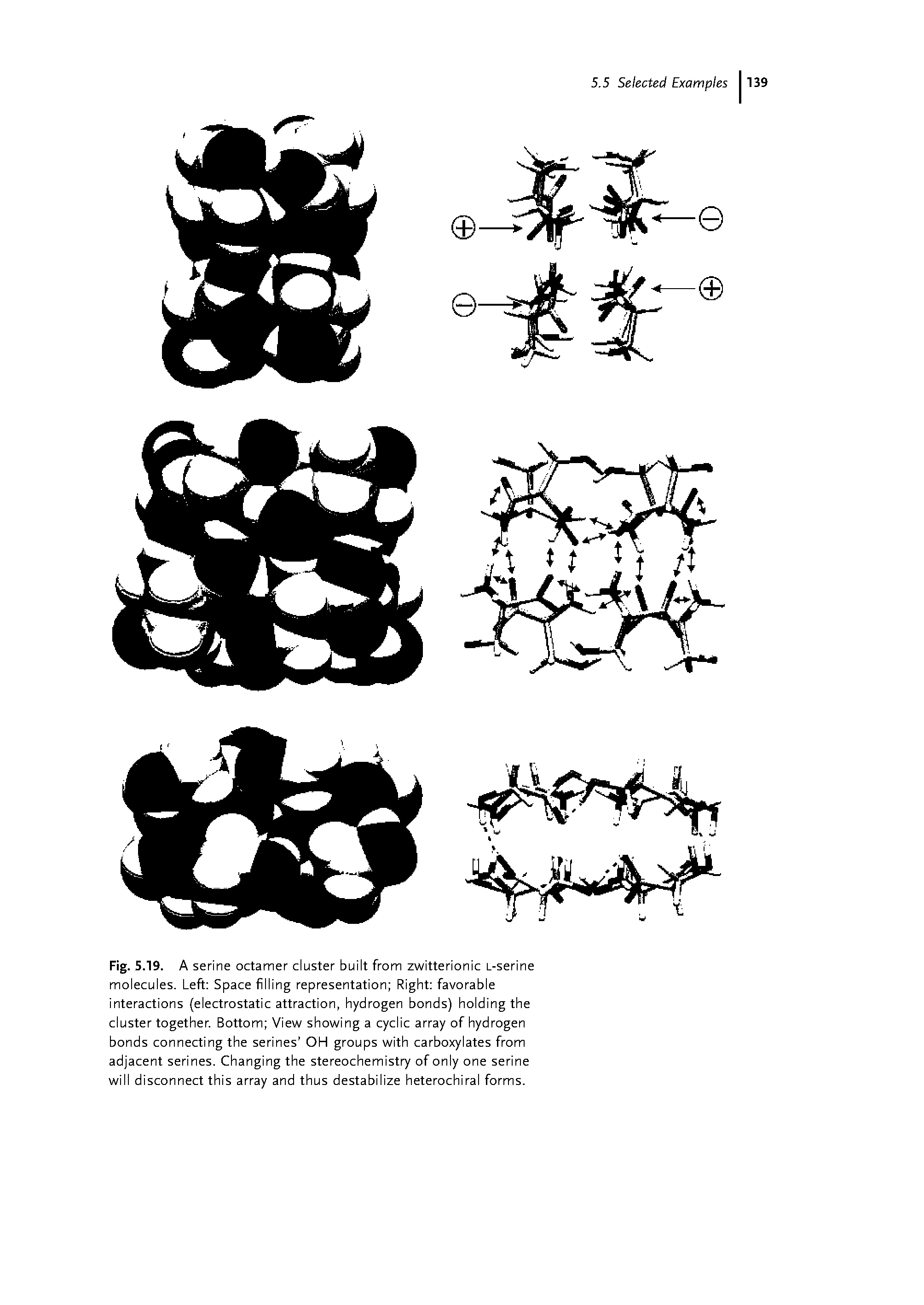 Fig. 5.19. A serine octamer cluster built from zwitterionic L-serine molecules. Left Space filling representation Right favorable interactions (electrostatic attraction, hydrogen bonds) holding the cluster together. Bottom View showing a cyclic array of hydrogen bonds connecting the serines OH groups with carboxylates from adjacent serines. Changing the stereochemistry of only one serine will disconnect this array and thus destabilize heterochiral forms.
