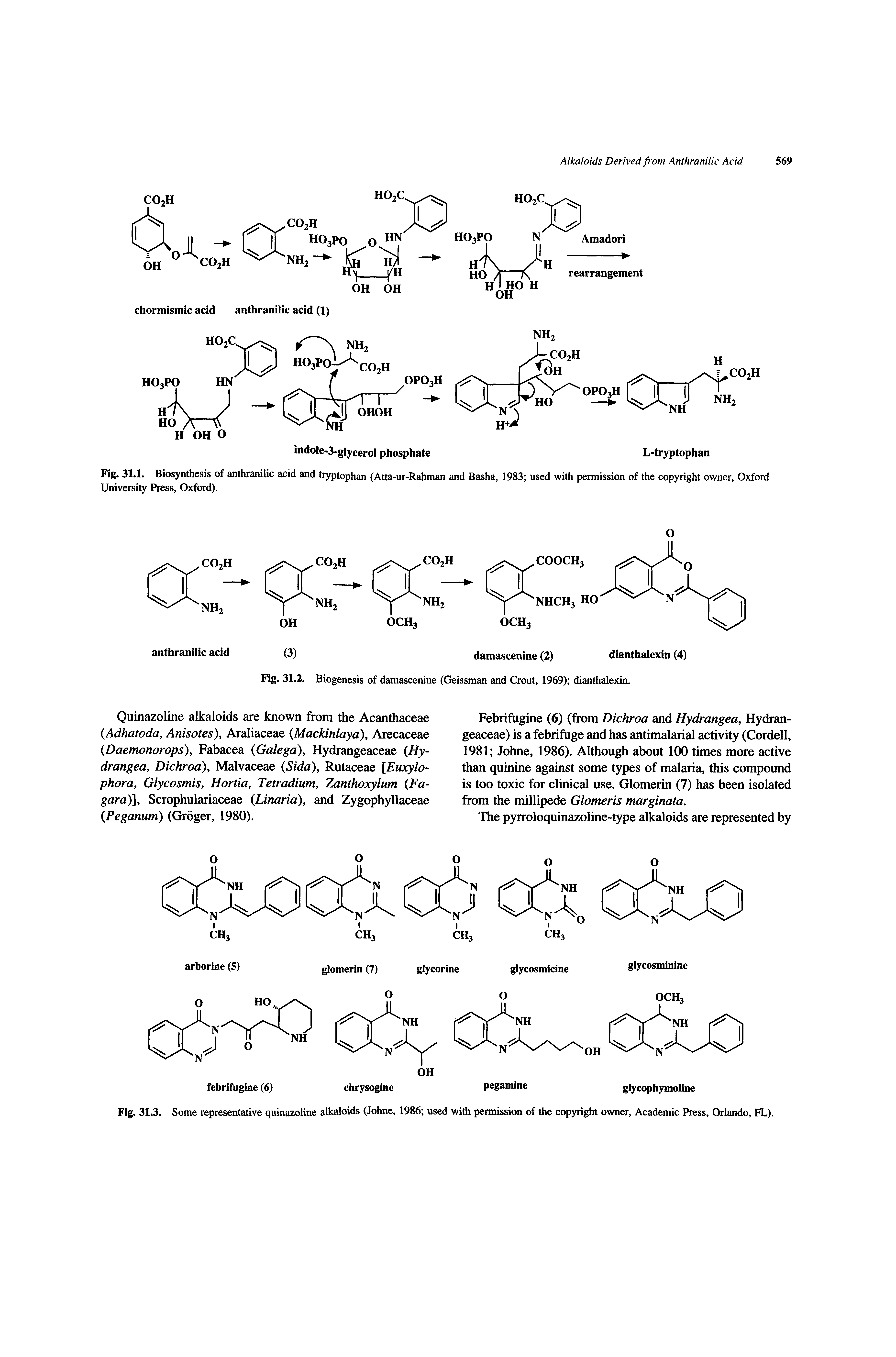Fig. 31.1. Biosynthesis of anthranilic acid and tryptophan (Atta-ur-Rahman and Basha, 1983 used with permission of the copyright owner, Oxford University Press, Oxford).