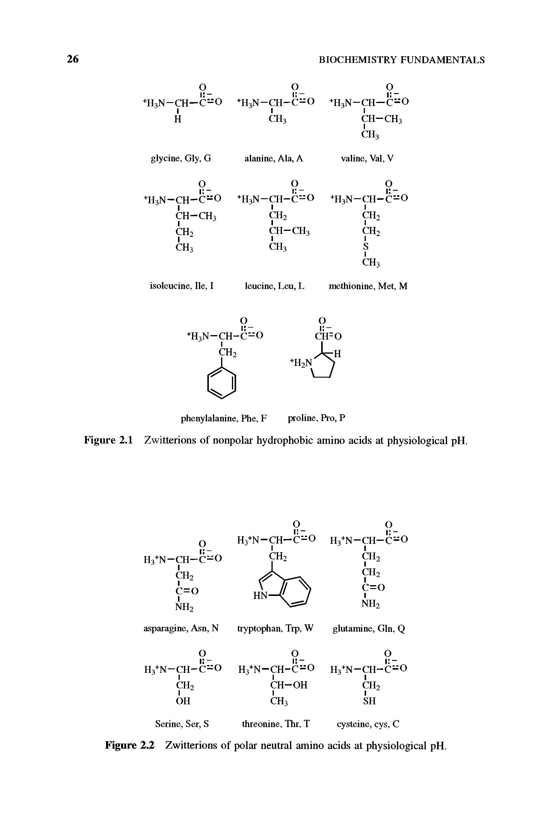 Figure 2.2 Zwitterions of polar neutral amino acids at physiological pH.