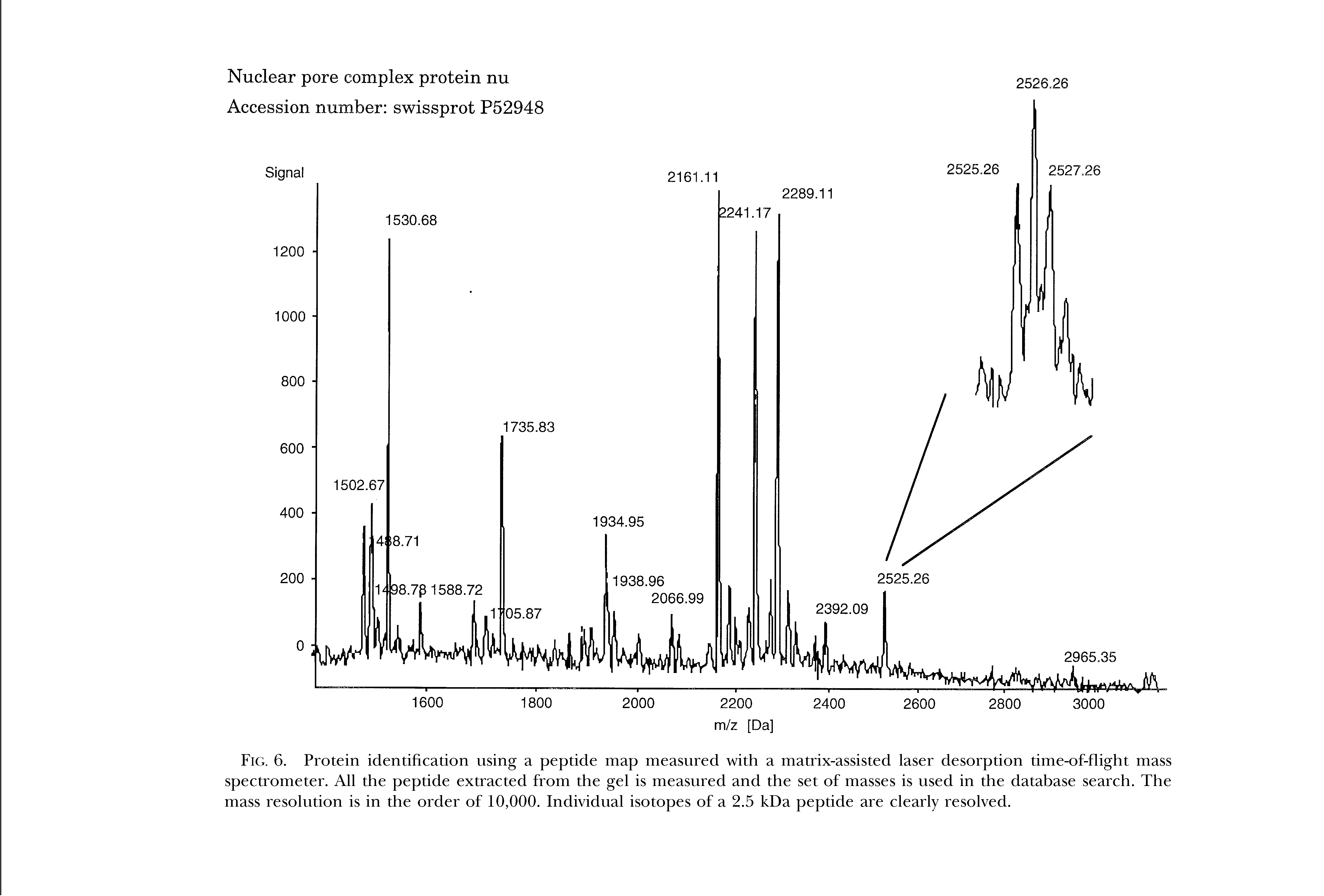 Fig. 6. Protein identification using a peptide map measured with a matrix-assisted laser desorption time-of-flight mass spectrometer. All the peptide extracted from the gel is measured and the set of masses is used in the database search. The mass resolution is in the order of 10,000. Individual isotopes of a 2.5 kDa peptide are clearly resolved.