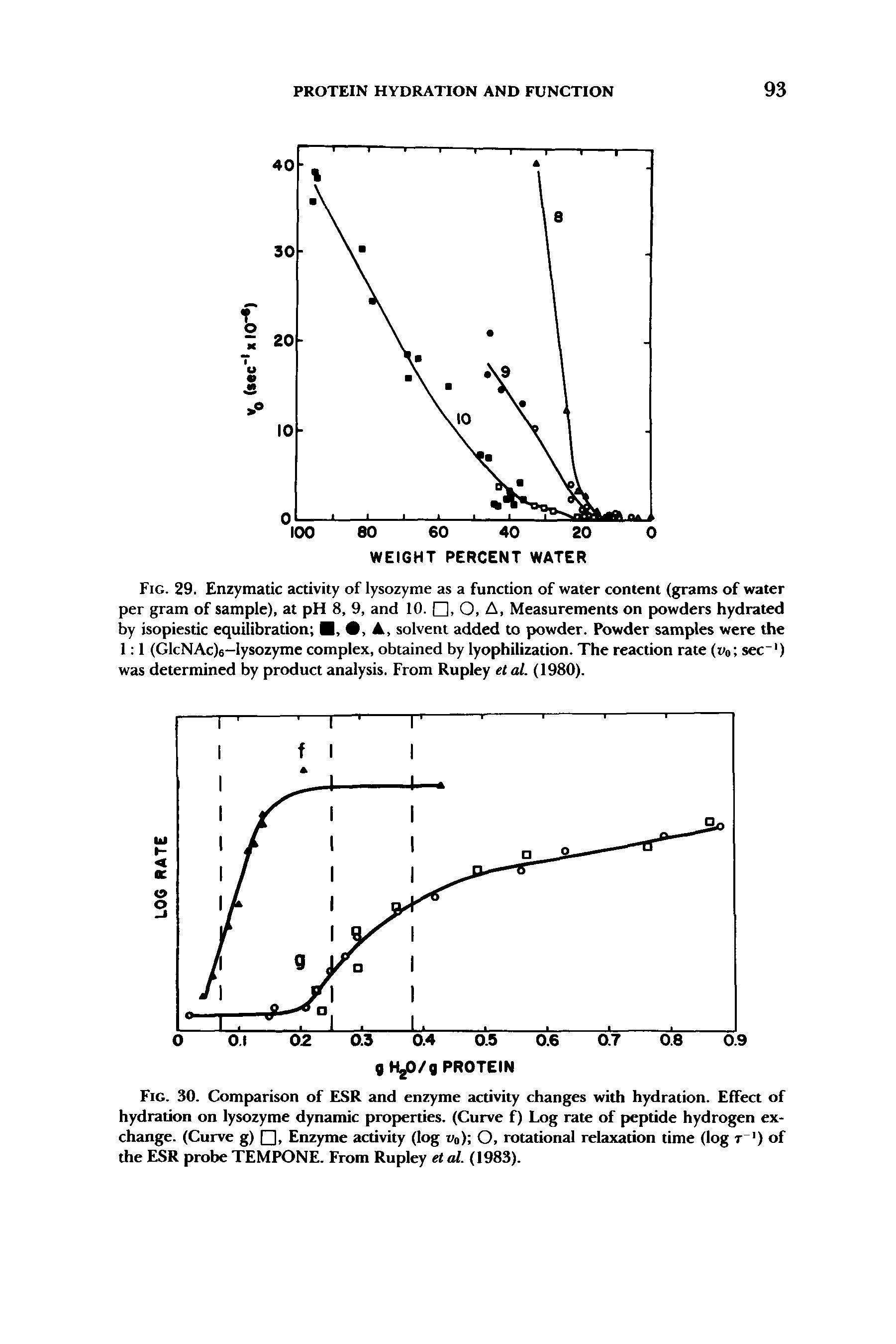 Fig. 30. Comparison of ESR and enzyme activity changes with hydration. Effect of hydration on lysozyme dynamic properties. (Curve f) Log rate of peptide hydrogen exchange. (Curve g) , Enzyme activity (log uo) O, rotational relaxation time (log t ) of the ESR probe TEMPONE. From Rupley et al. (1983).