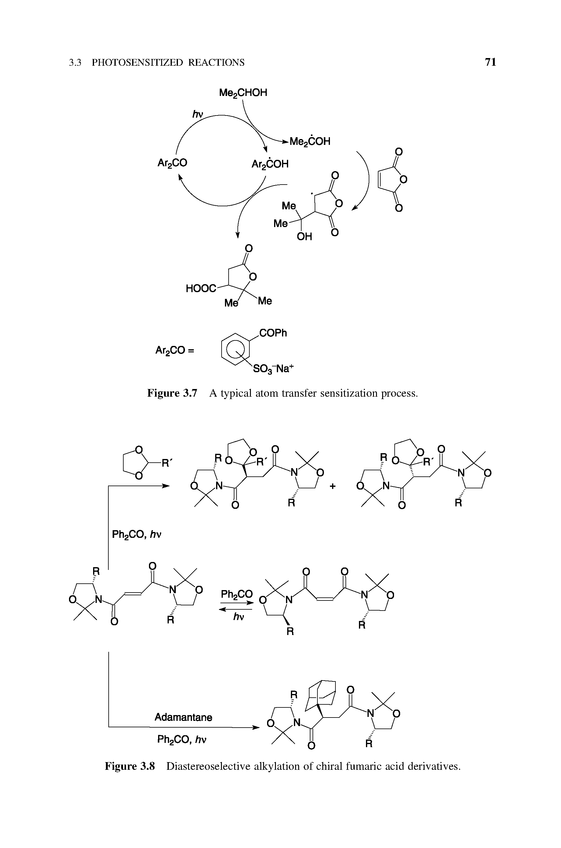 Figure 3.8 Diastereoselective alkylation of chiral fumaric acid derivatives.