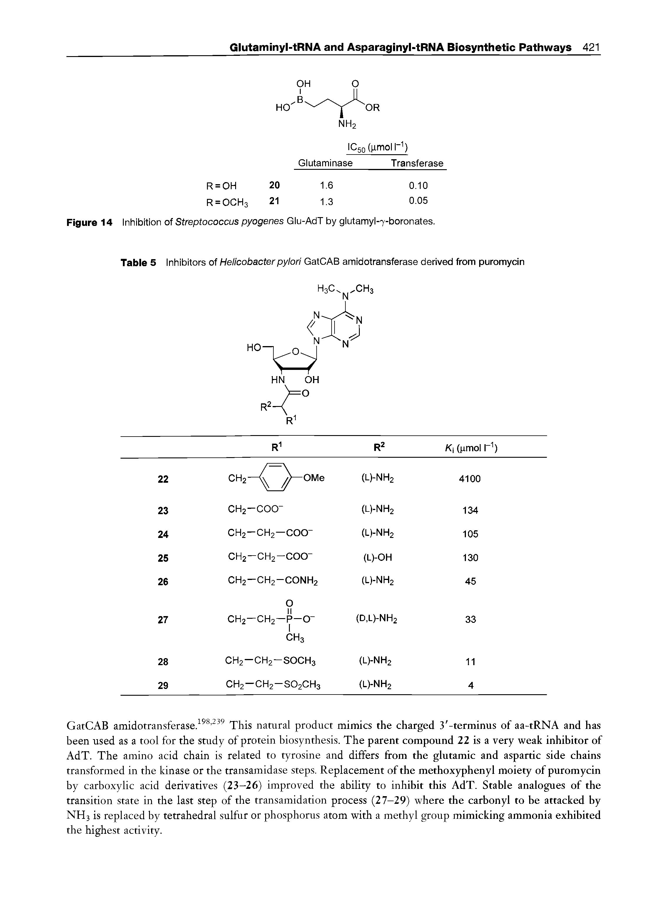Figure 14 Inhibition of Streptococcus pyogenes Glu-AdT by glutamyl-7-boronates.