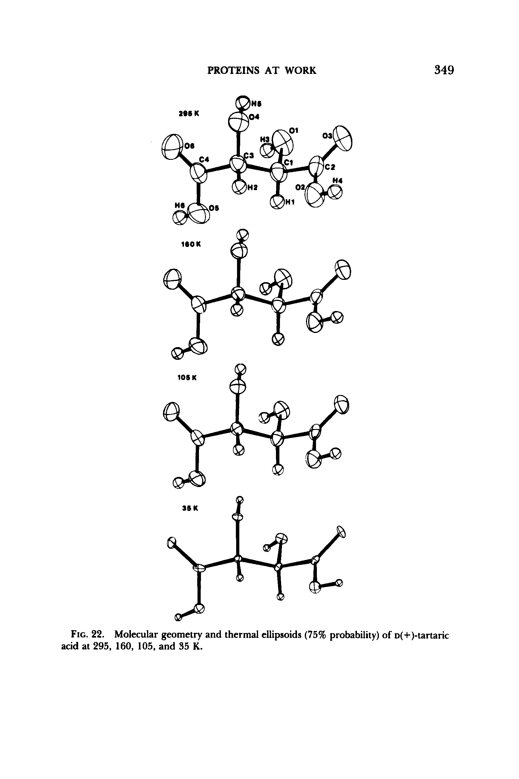 Fig. 22. Molecular geometry and thermal ellipsoids (75% probability) of D(+)-tartaric acid at 295, 160, 105, and 35 K.