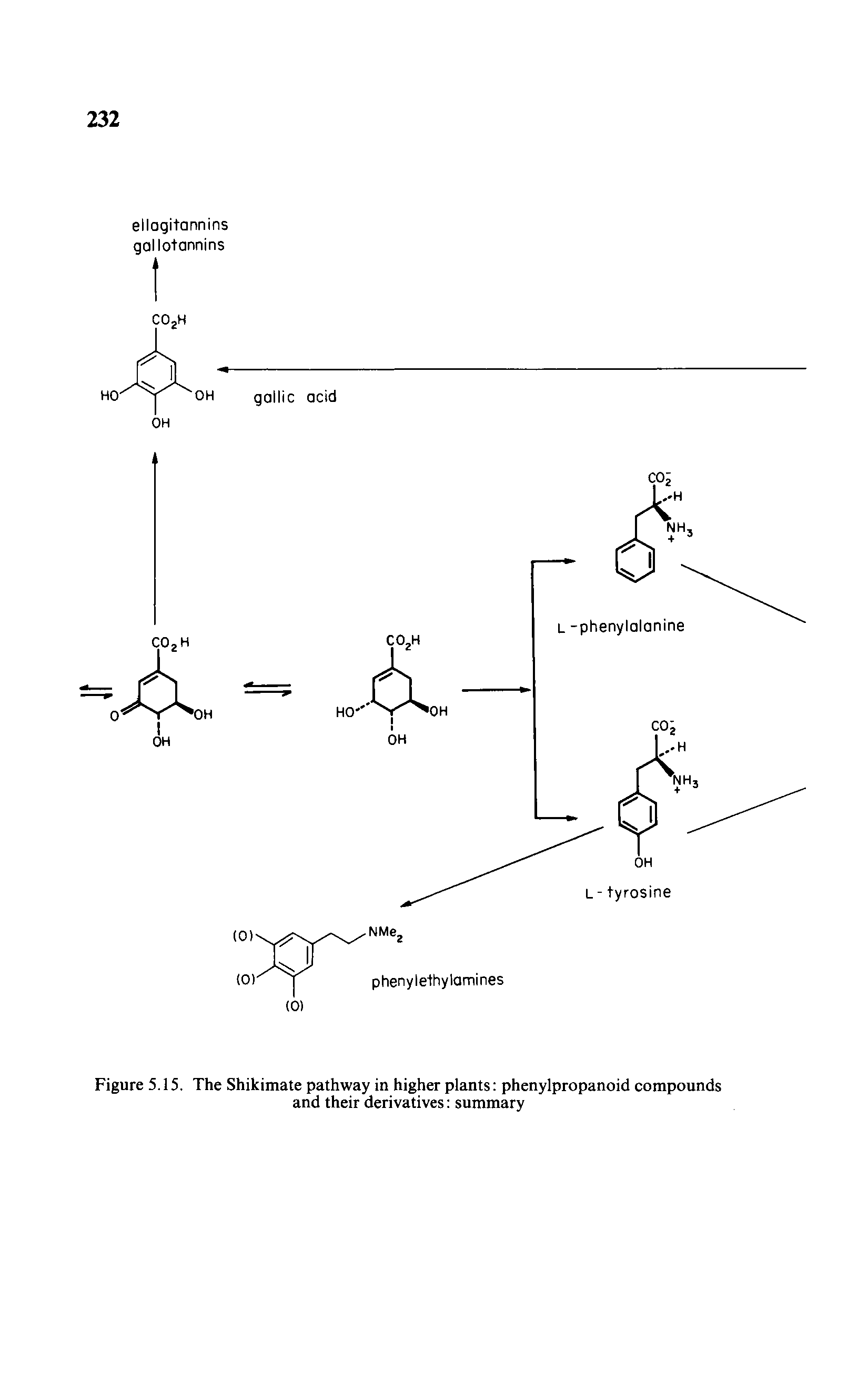 Figure 5.15, The Shikimate pathway in higher plants phenylpropanoid compounds and their derivatives summary...