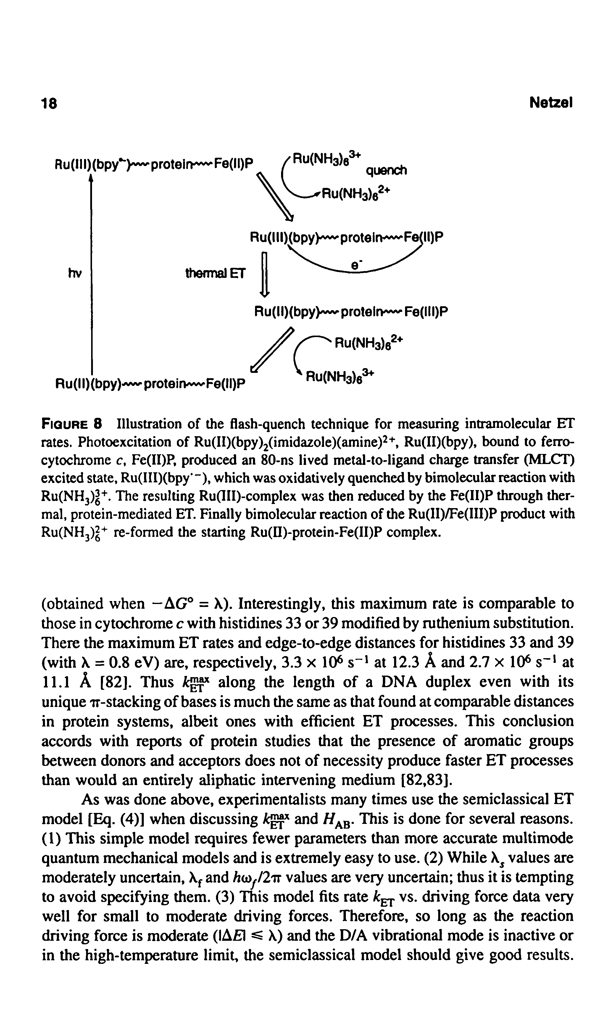 Figure 8 Illustration of the flash-quench technique for measuring intramolecular ET rates. Photoexcitation of Ru(II)(bpy)2(imidazole)(amine)2+, Ru(II)(bpy), bound to ferro-cytochrome c, Fe(II)P, produced an 80-ns lived metal-to-ligand charge transfer (MLCT) excited state, Ru(III)(bpy -), which was oxidatively quenched by bimolecular reaction with Ru(NH3) +. The resulting Ru(III)-complex was then reduced by the Fe(II)P through thermal, protein-mediated ET. Finally bimolecular reaction of the Ru(II)/Fe(III)P product with Ru(NH3) + re-formed the starting Ru(II)-protein-Fe(II)P complex.