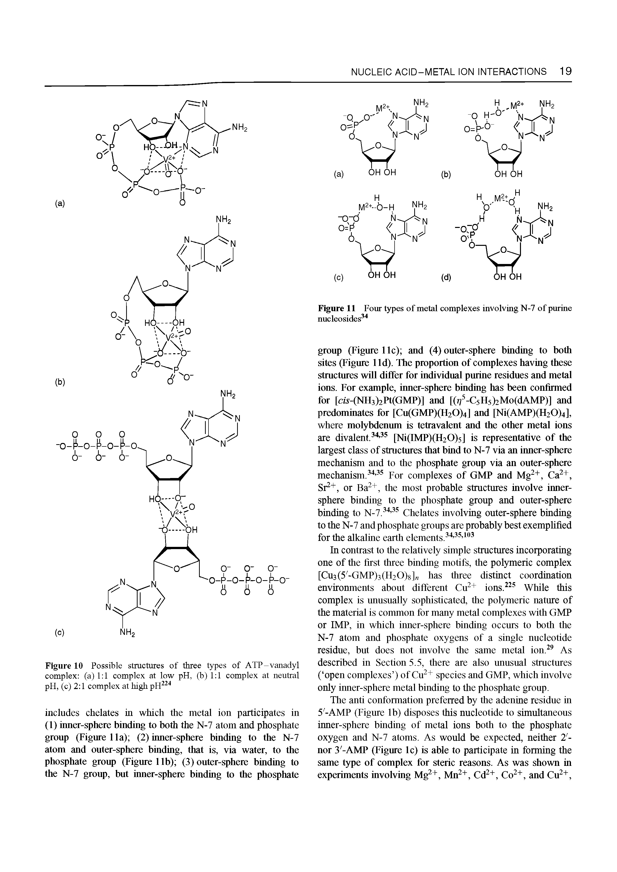 Figure 11 Four types of metal complexes involving N-7 of purine nucleosides ...