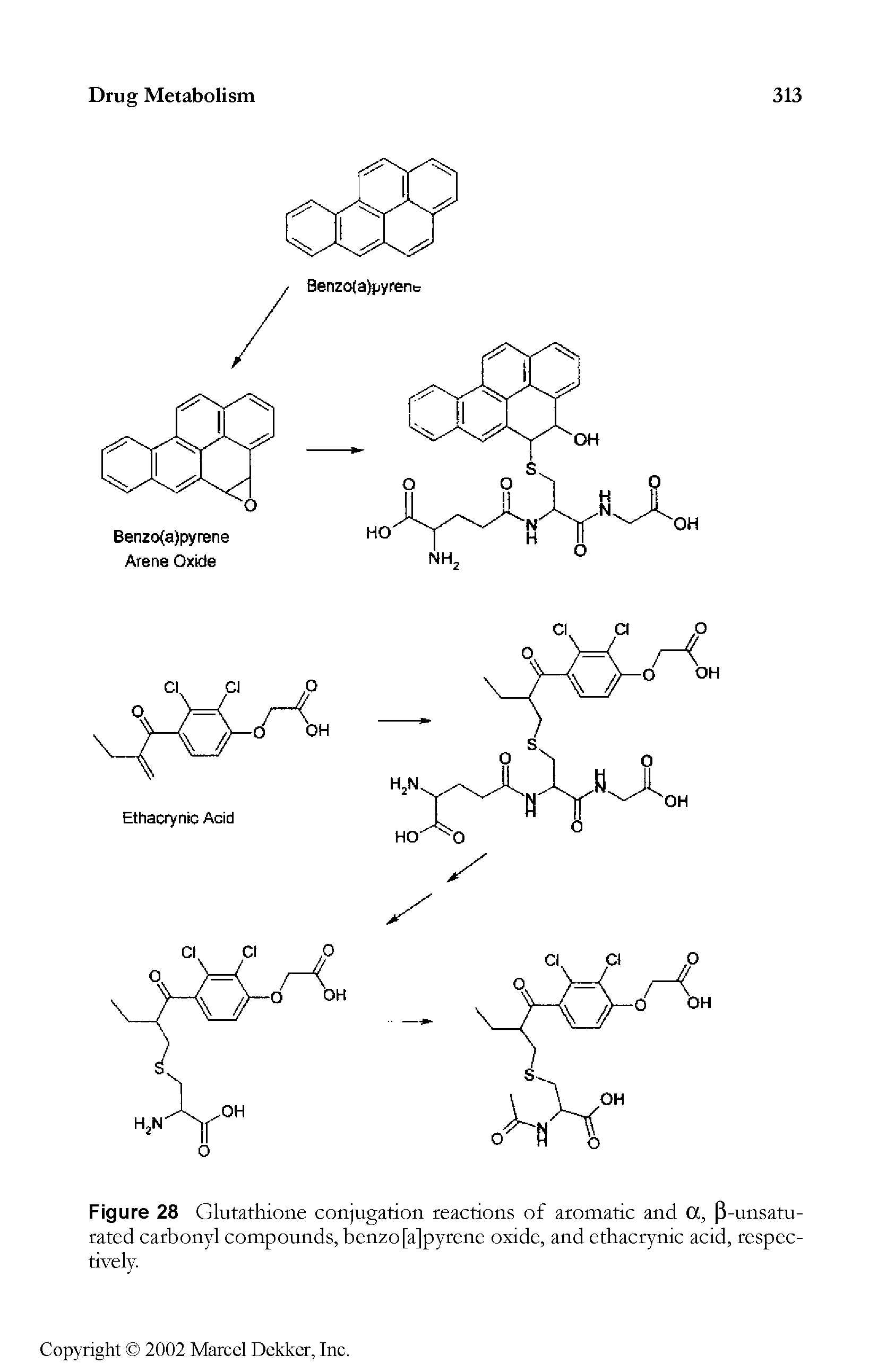 Figure 28 Glutathione conjugation reactions of aromatic and OC, P-unsatu-rated carbonyl compounds, benzo[a]pyrene oxide, and ethacrynic acid, respectively.