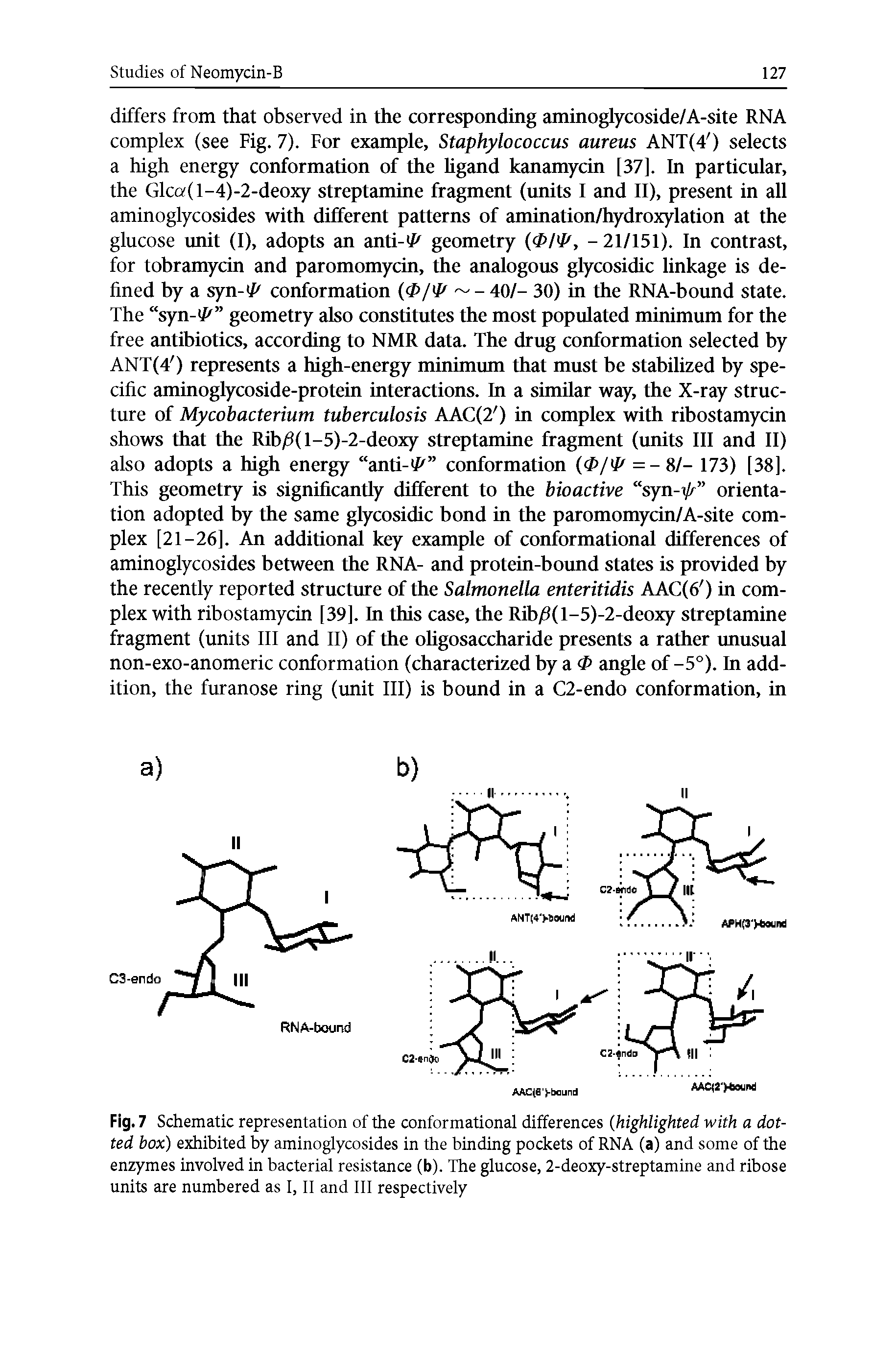 Fig. 7 Schematic representation of the conformational differences (highlighted with a dotted box) exhibited by aminoglycosides in the binding pockets of RNA (a) and some of the enzymes involved in bacterial resistance (b). The glucose, 2-deoxy-streptamine and ribose units are numbered as I, II and III respectively...