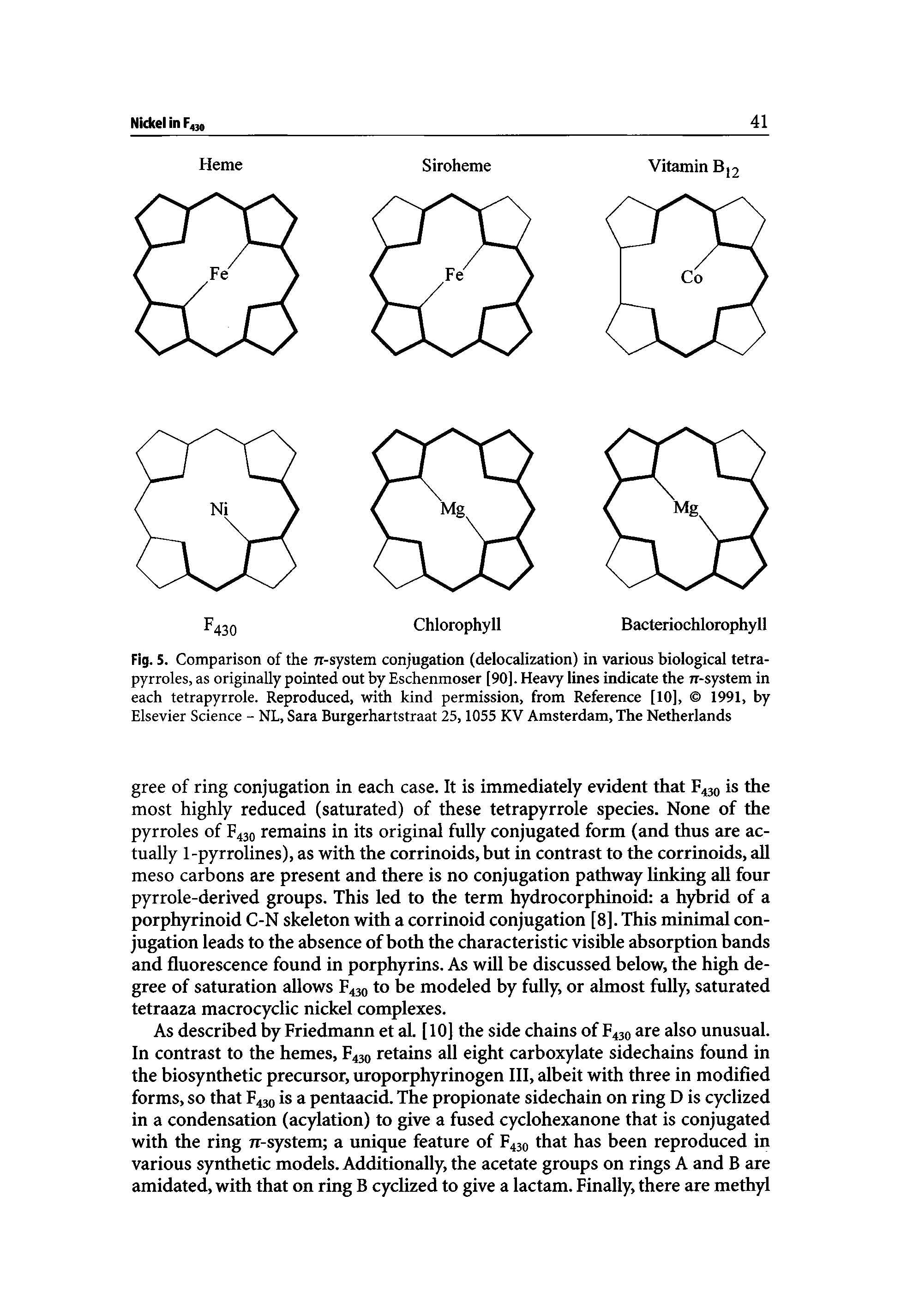 Fig. 5. Comparison of the 71-system conjugation (delocalization) in various biological tetra-pyrroles, as originally pointed out by Eschenmoser [90]. Heavy lines indicate the 7T-system in each tetrapyrrole. Reproduced, with kind permission, from Reference [10], 1991, by Elsevier Science - NL, Sara Burgerhartstraat 25,1055 KV Amsterdam, The Netherlands...