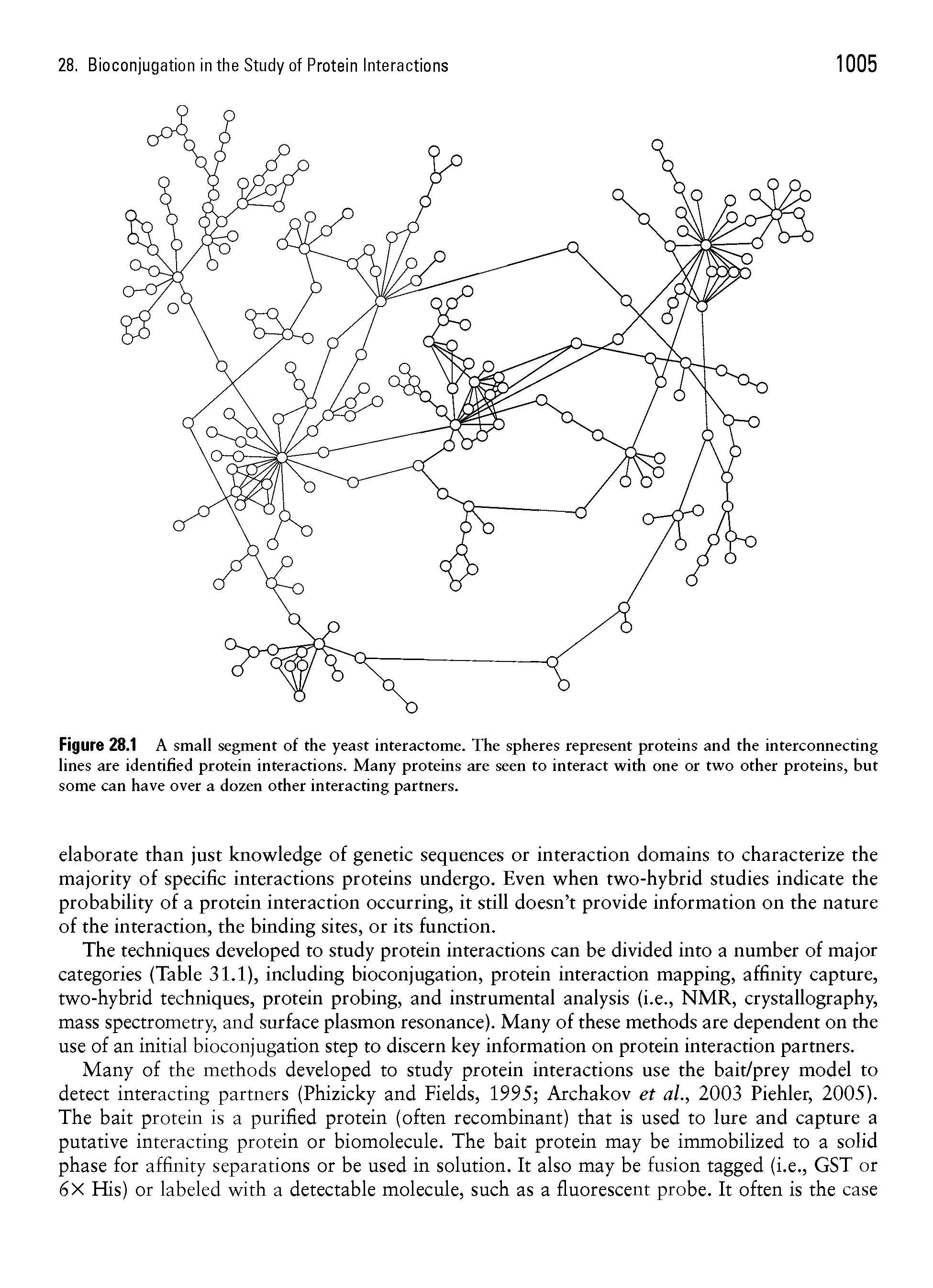 Figure 28.1 A small segment of the yeast interactome. The spheres represent proteins and the interconnecting lines are identified protein interactions. Many proteins are seen to interact with one or two other proteins, but some can have over a dozen other interacting partners.