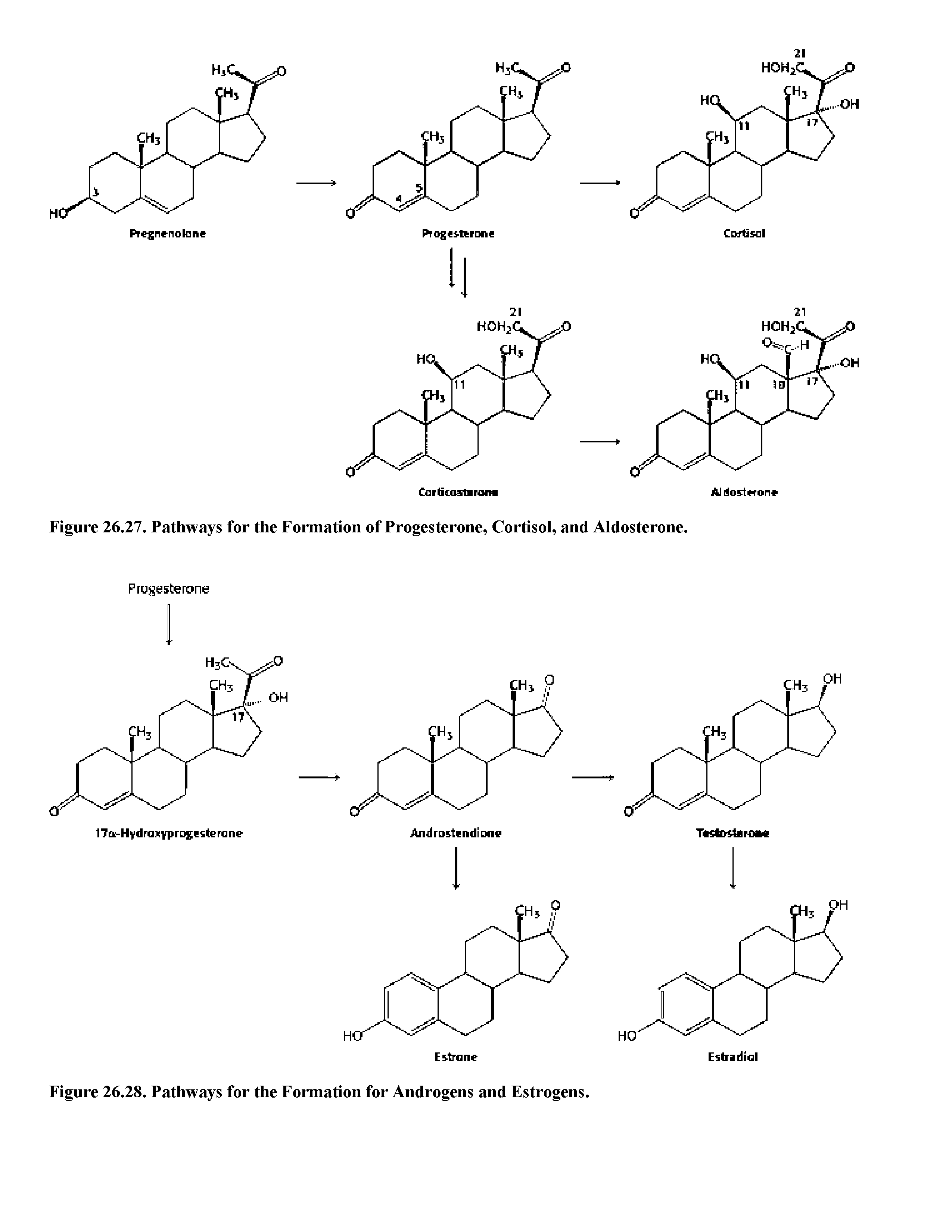 Figure 26.27. Pathways for the Formation of Progesterone, Cortisol, and Aldosterone.