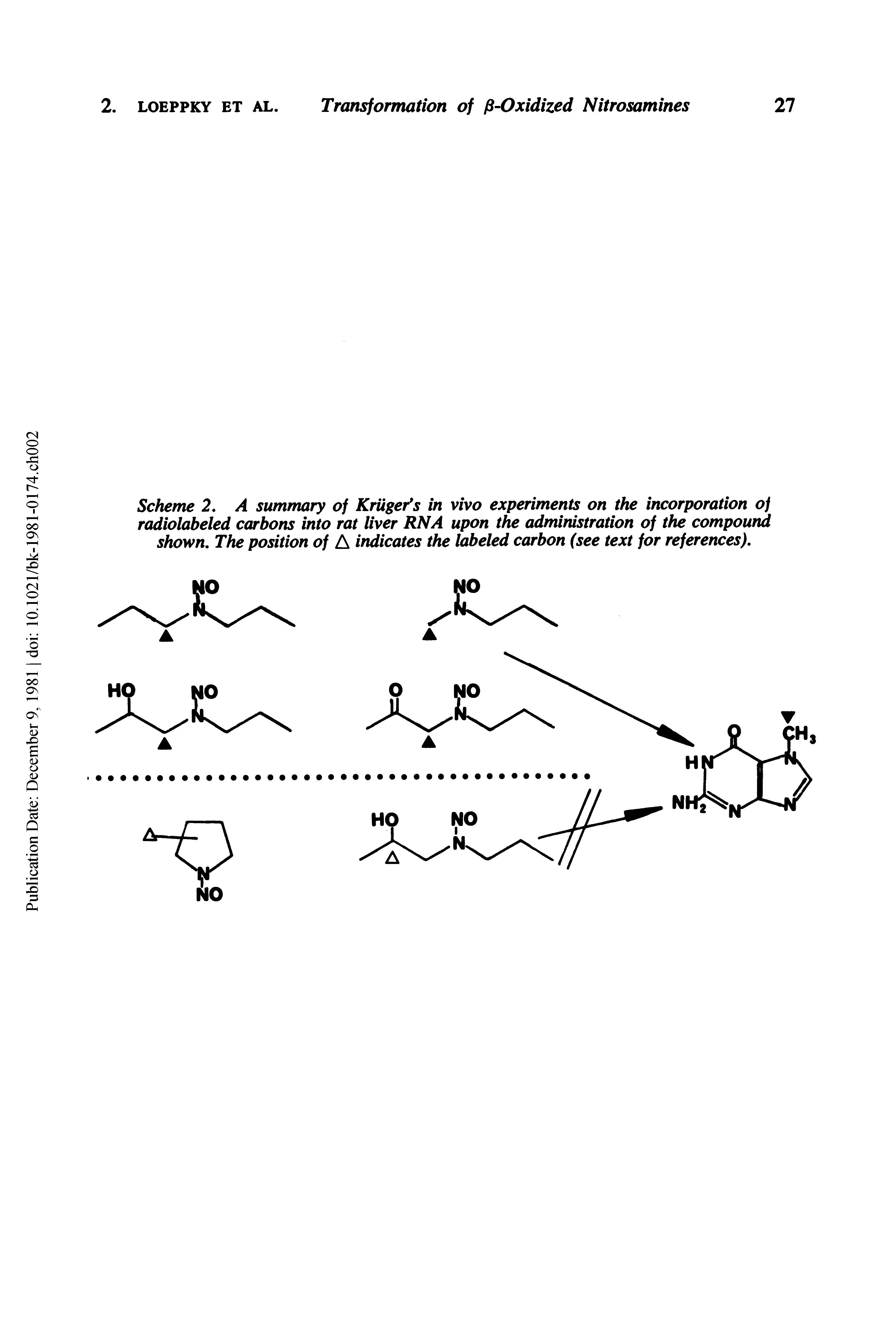 Scheme 2, A summary of Kriigefs in vivo experiments on the incorporation o] radiolabeled carbons into rat liver RNA upon the administration of the compound shown. The position of A indicates the labeled carbon (see text for references).