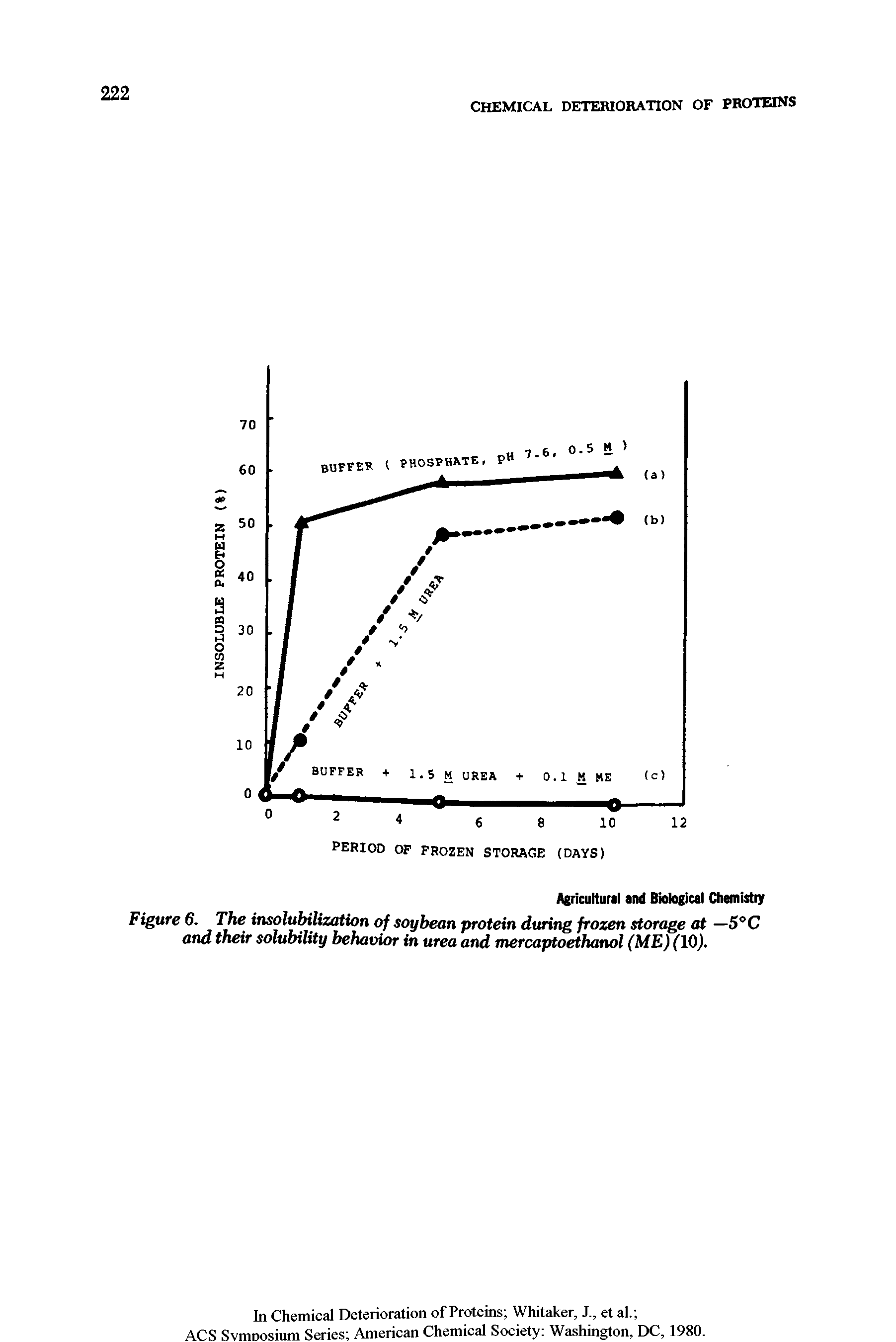 Figure 6. The insolubitization of soybean protein during frozen storage at —5°C and their solubility behavior in urea and mercaptoethanol (ME) (10).