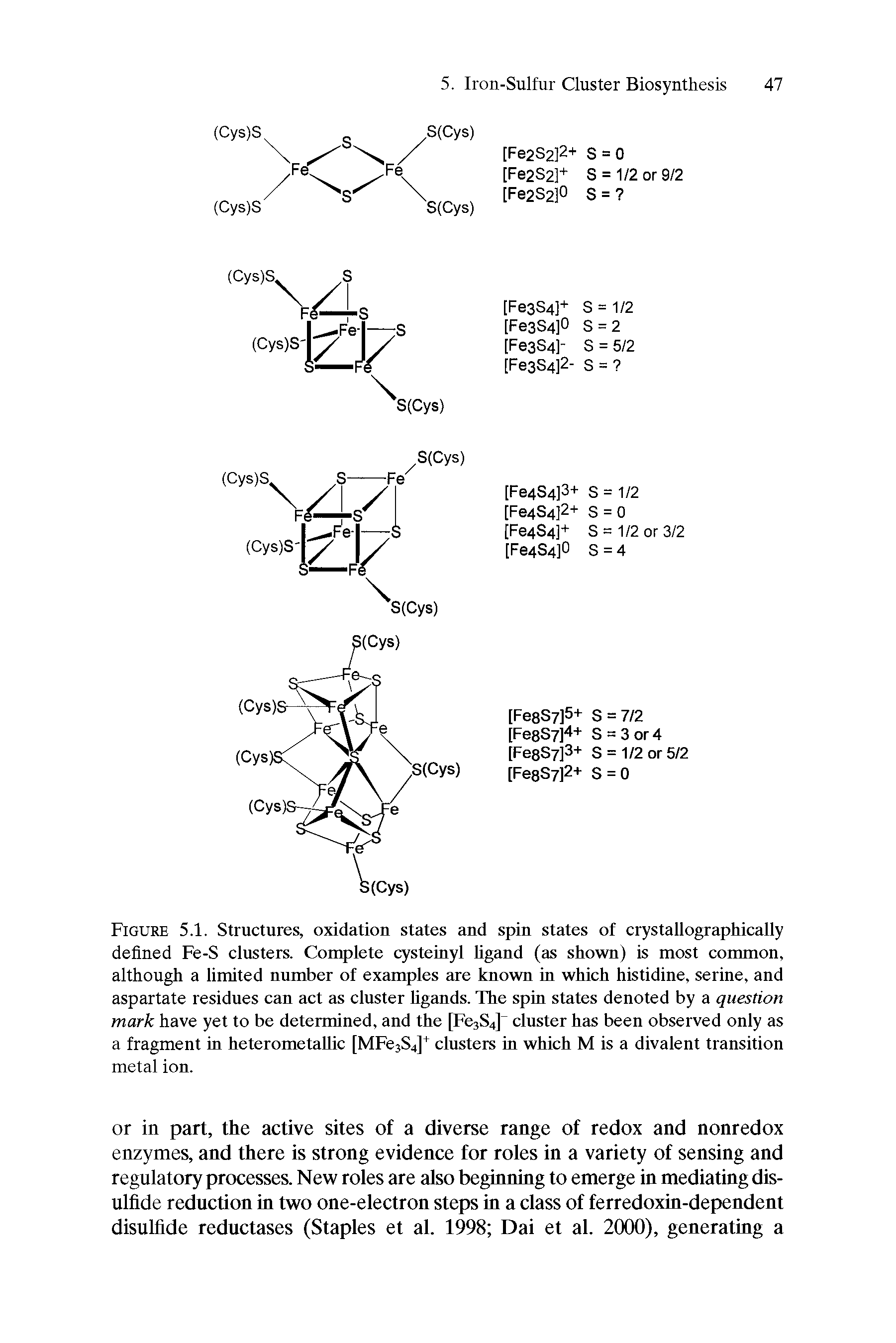 Figure 5.1. Structures, oxidation states and spin states of crystallographically defined Fe-S clusters. Complete cysteinyl ligand (as shown) is most common, although a limited number of examples are known in which histidine, serine, and aspartate residues can act as cluster ligands. The spin states denoted by a question mark have yet to be determined, and the [FesSJ cluster has been observed only as a fragment in heterometaUic [MFejSJ clusters in which M is a divalent transition metal ion.