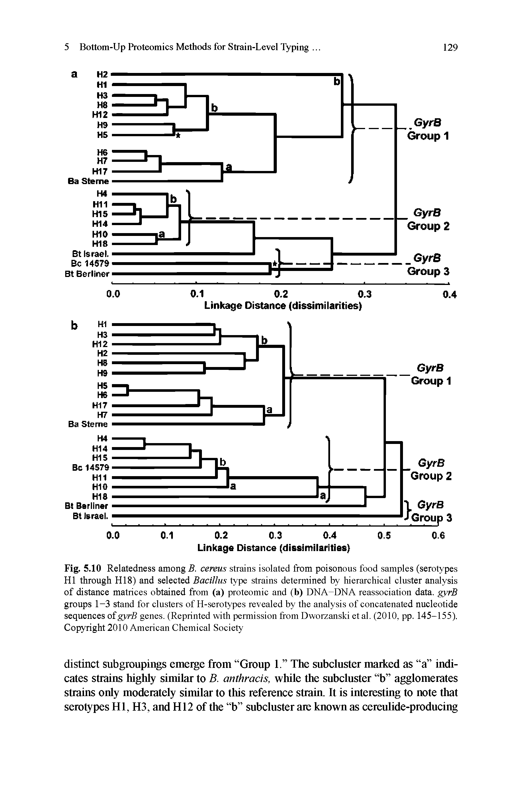 Fig. 5.10 Relatedness among B. cereus strains isolated from poisonous food samples (serotypes HI through HI8) and seleeted Bacillus type strains determined by hierarchieal cluster analysis of distance matrices obtained from (a) proteomic and (b) DNA-DNA reassociation data. gyrB groups 1-3 stand for clusters of H-serotypes revealed by the analysis of concatenated nucleotide sequences oigyrB genes. (Reprinted with permission from Dworzanski etal. (2010, pp. 145-155). Copyright 2010 American Chemical Society...