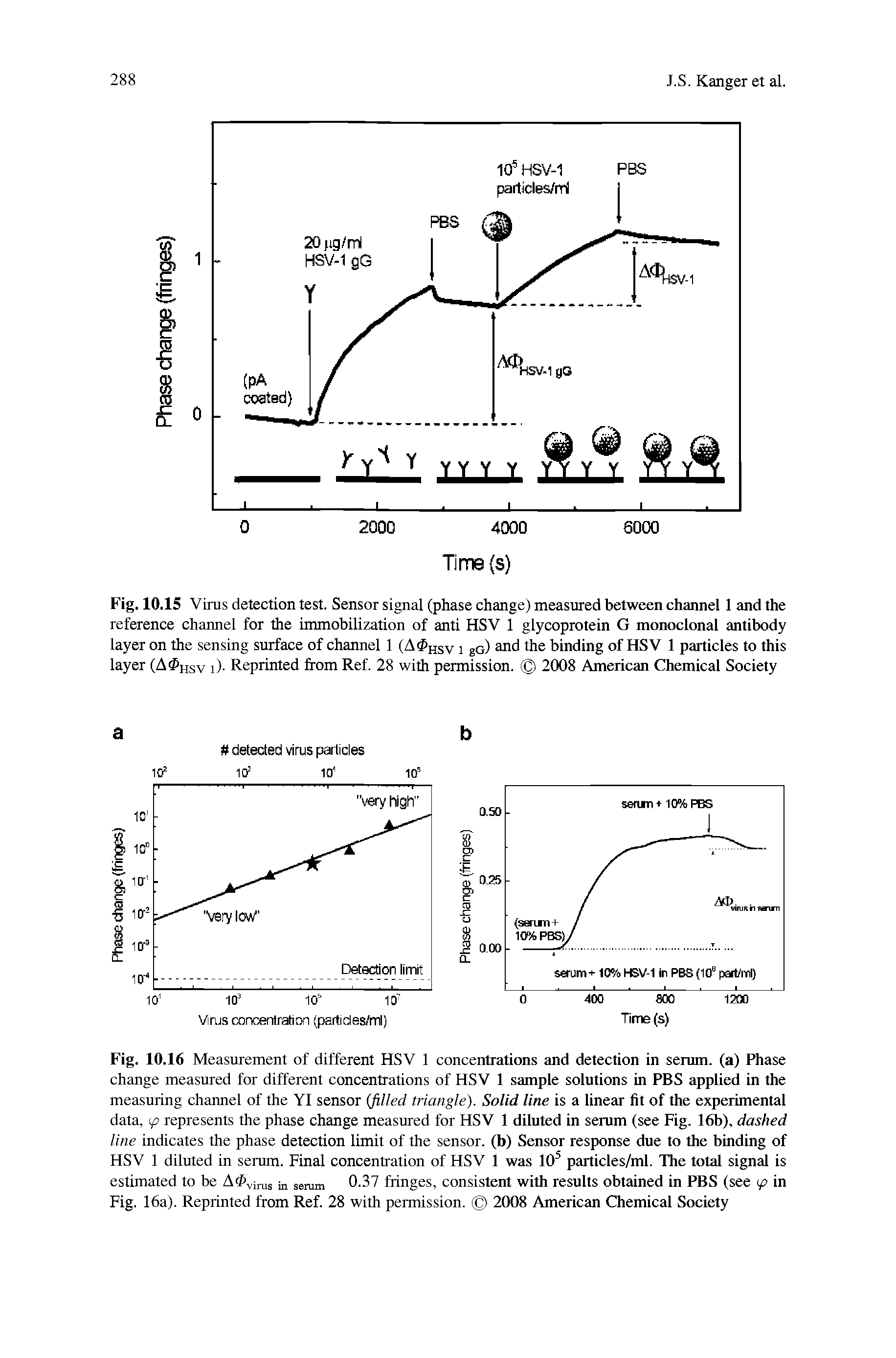 Fig. 10.15 Virus detection test. Sensor signal (phase change) measured between channel 1 and the reference channel for the immobilization of anti HSV 1 glycoprotein G monoclonal antibody layer on the sensing surface of channel 1 (A HSV i gG) and the binding of HSV 1 particles to this layer (A IISV i). Reprinted from Ref. 28 with permission. 2008 American Chemical Society...