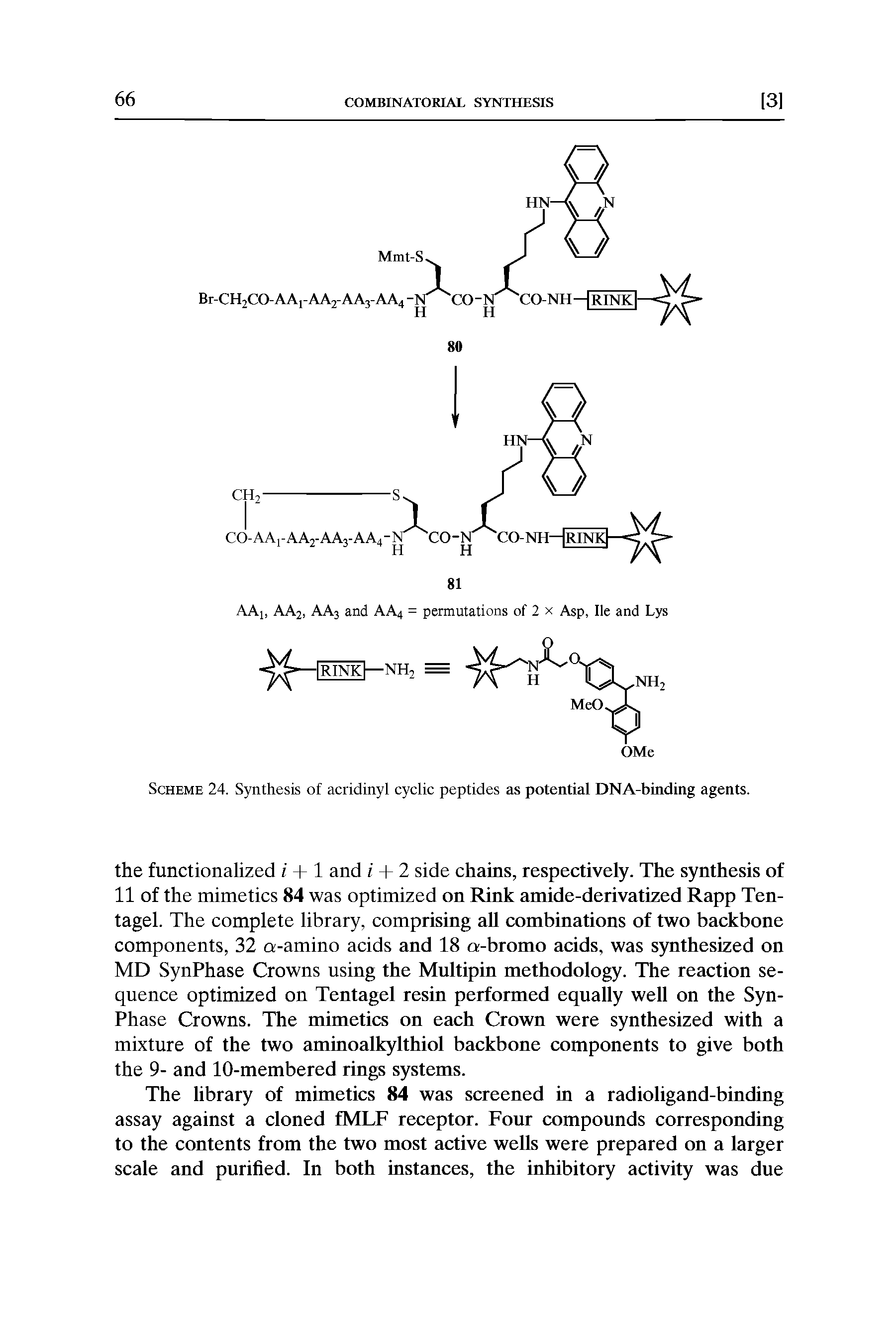 Scheme 24. Synthesis of acridinyl cyclic peptides as potential DNA-binding agents.