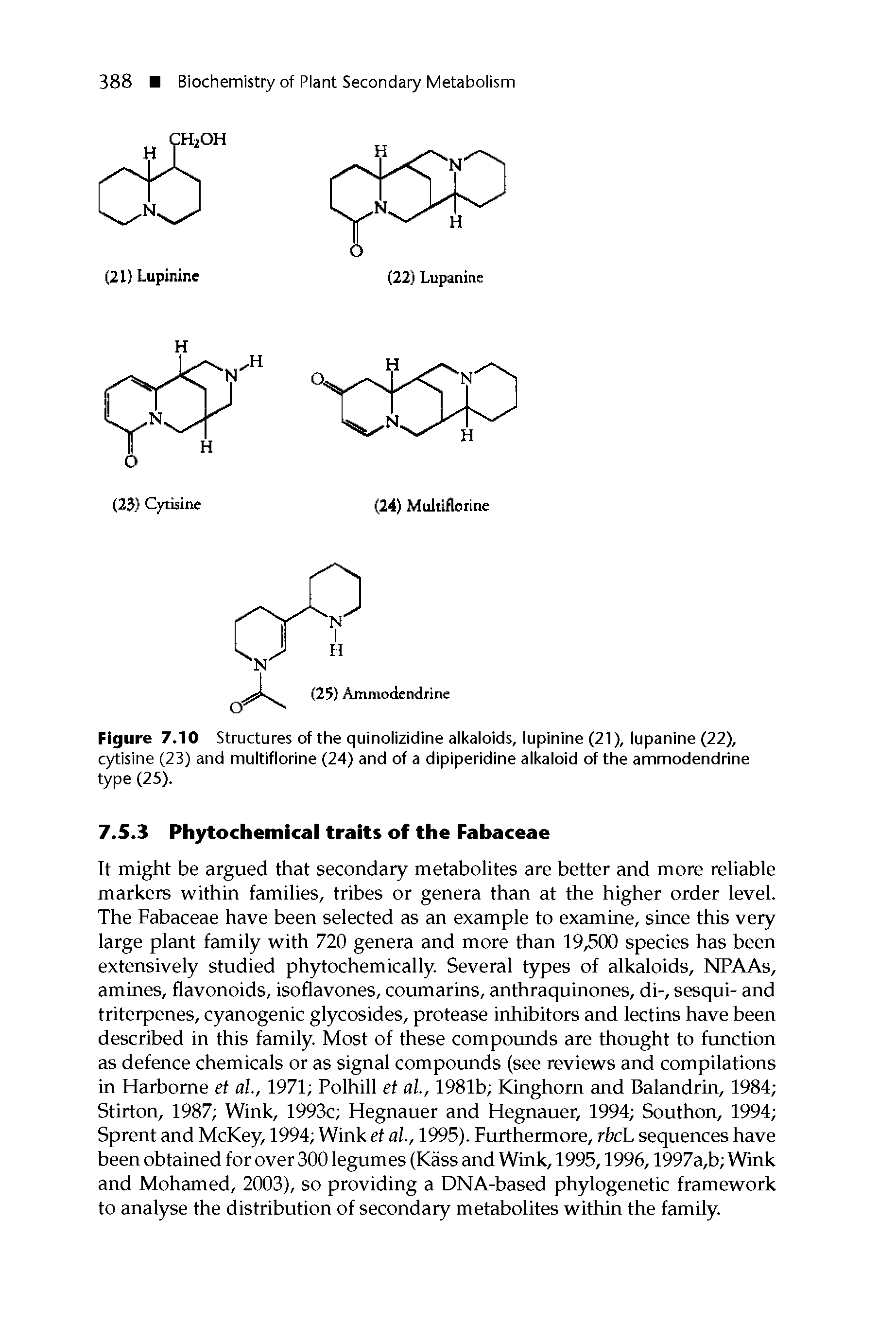 Figure 7.10 Structures of the quinolizidine alkaloids, lupinine (21), lupanine (22), cytisine (23) and multiflorine (24) and of a dipiperidine alkaloid of the ammodendrine type (25).