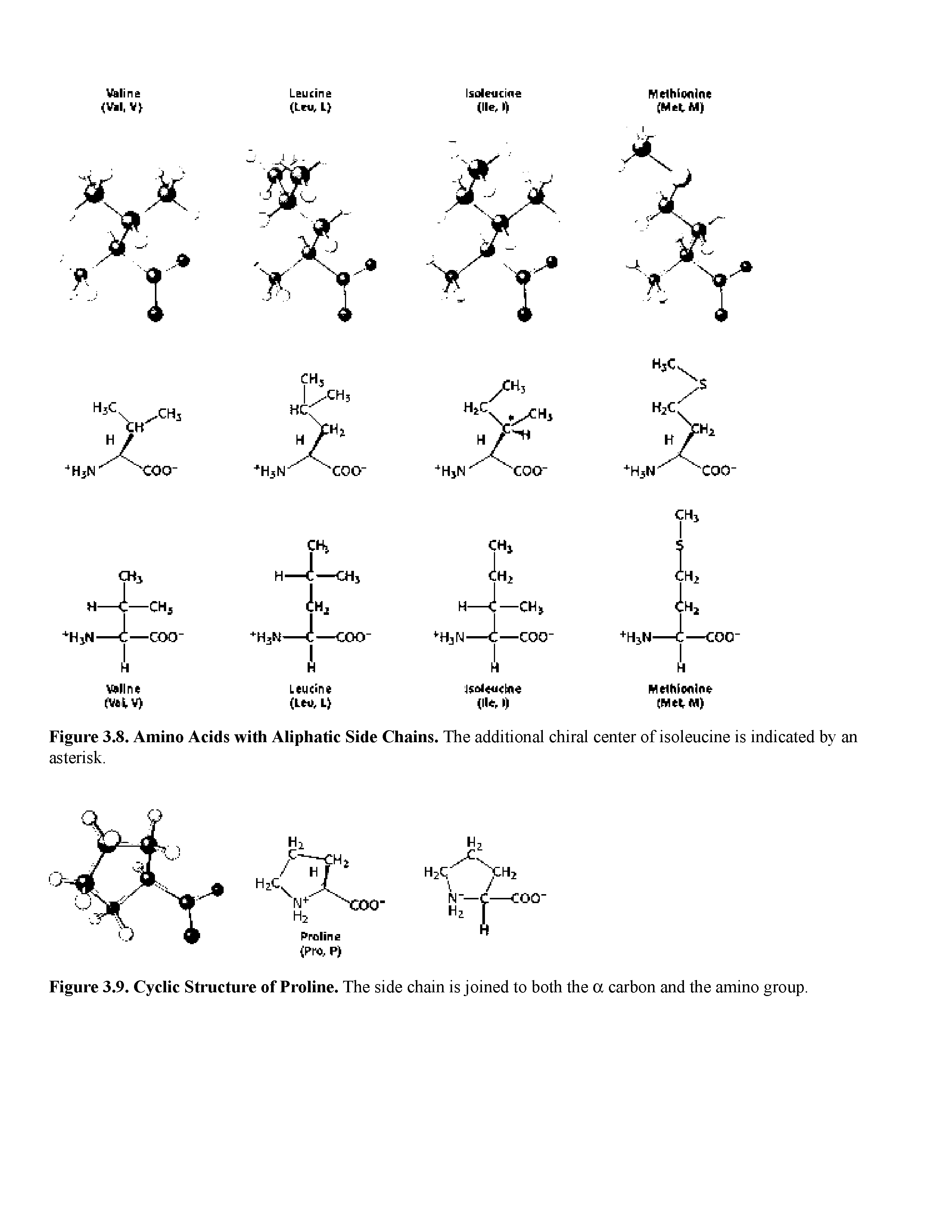 Figure 3.8. Amino Acids with Aliphatic Side Chains. The additional chiral center of isoleucine is indicated hy an asterisk.