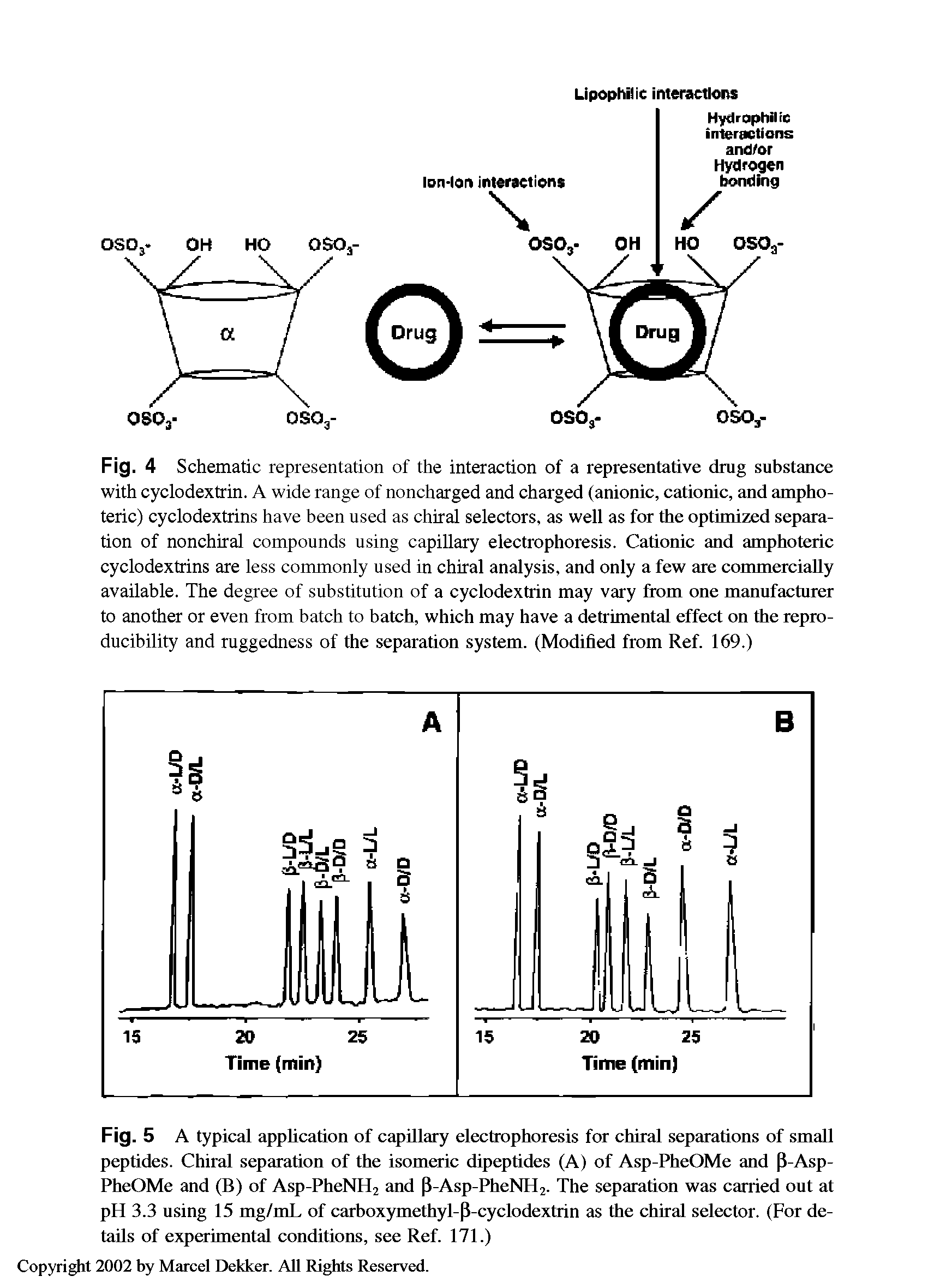Fig. 4 Schematic representation of the interaction of a representative drug substance with cyclodextrin. A wide range of noncharged and charged (anionic, cationic, and amphoteric) cyclodextrins have been used as chiral selectors, as well as for the optimized separation of nonchiral compounds using capillary electrophoresis. Cationic and amphoteric cyclodextrins are less commonly used in chiral analysis, and only a few are commercially available. The degree of substitution of a cyclodextrin may vary from one manufacturer to another or even from batch to batch, which may have a detrimental effect on the reproducibility and ruggedness of the separation system. (Modified from Ref. 169.)...