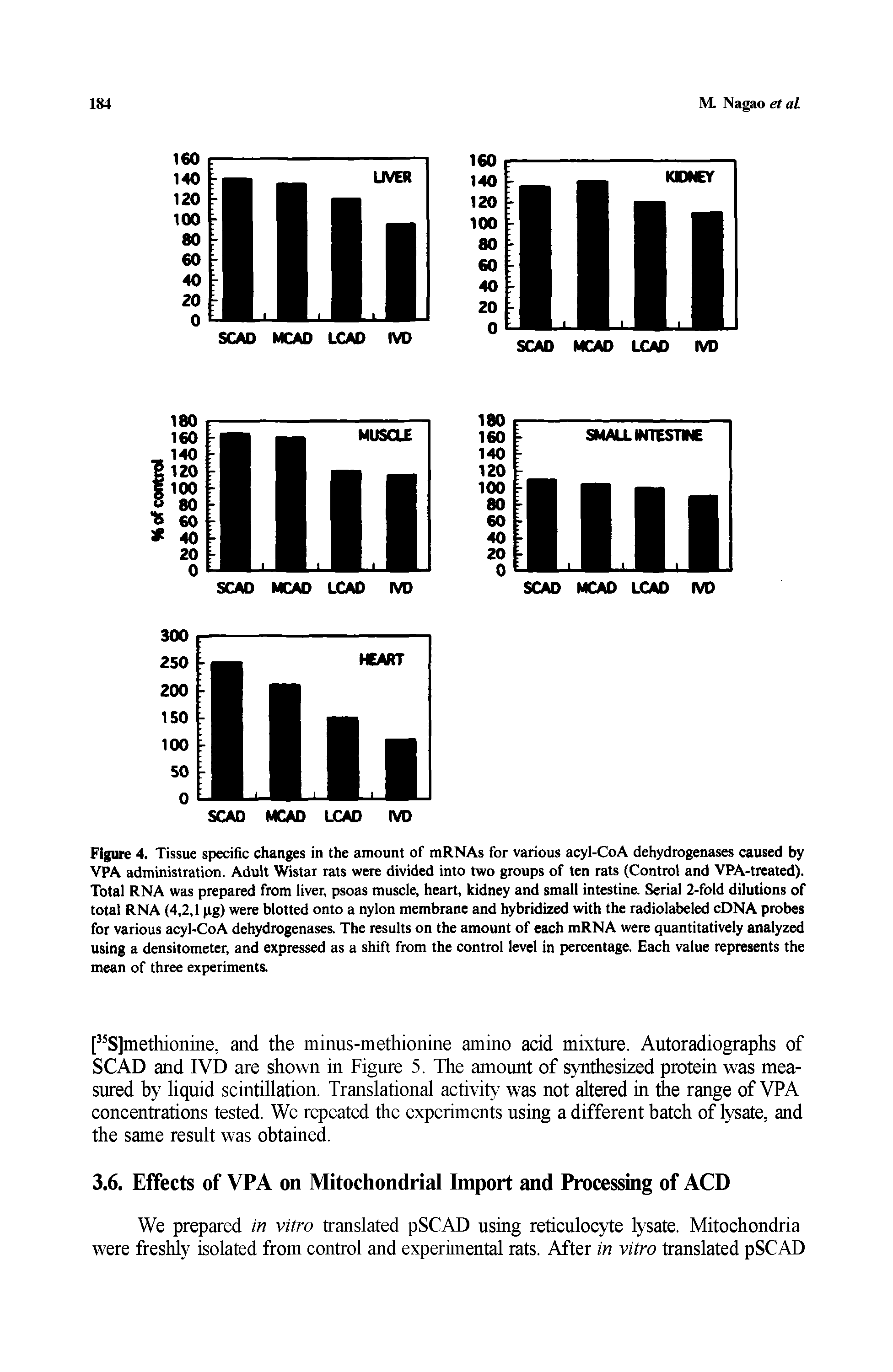 Figure 4. Tissue specific changes in the amount of mRNAs for various acyl-CoA dehydrogenases caused by VPA administration. Adult Wistai rats were divided into two groups of ten rats (Control and VPA-treated). Total RNA was prepared from liver, psoas muscle, heart, kidney and small intestine. Serial 2-fold dilutions of total RNA (4,2,1 ng) were blotted onto a nylon membrane and hybridized with the radiolabeled cDNA probes for various acyl-CoA dehydrogenases. The results on the amount of each mRNA were quantitatively analyzed using a densitometer, and expressed as a shift from the control level in percentage. Each value represents the mean of three experiments.