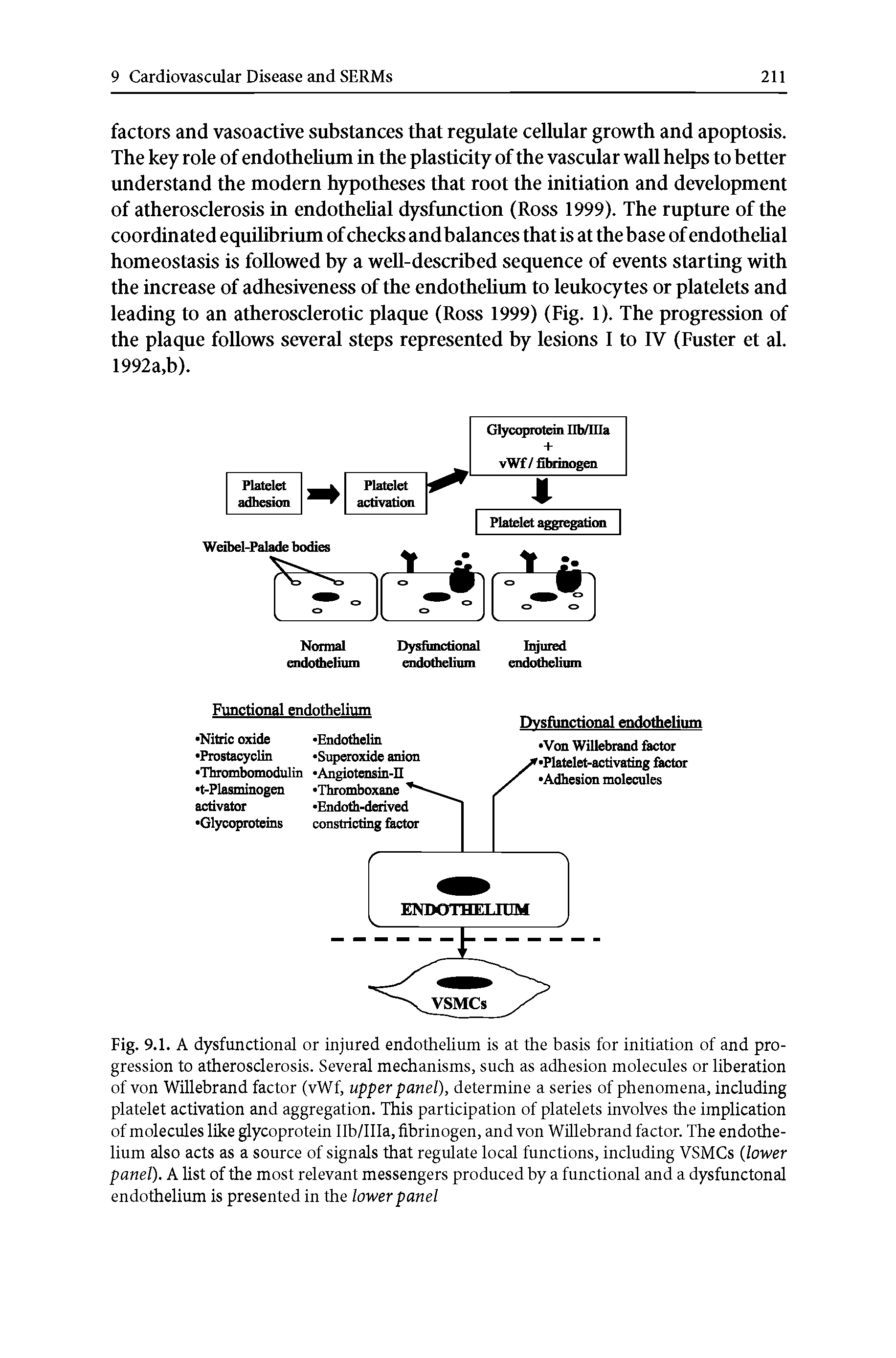 Fig. 9.1. A dysfunctional or injured endothelium is at the basis for initiation of and progression to atherosclerosis. Several mechanisms, such as adhesion molecules or liberation of von Willebrand factor (vWf, upper panel), determine a series of phenomena, including platelet activation and aggregation. This participation of platelets involves the implication of molecules like glycoprotein Ilb/IIIa, fibrinogen, and von Willebrand factor. The endothelium also acts as a source of signals that regulate local functions, including VSMCs (lower panel). A list of the most relevant messengers produced by a functional and a dysfunctonal endothelium is presented in the lower panel...